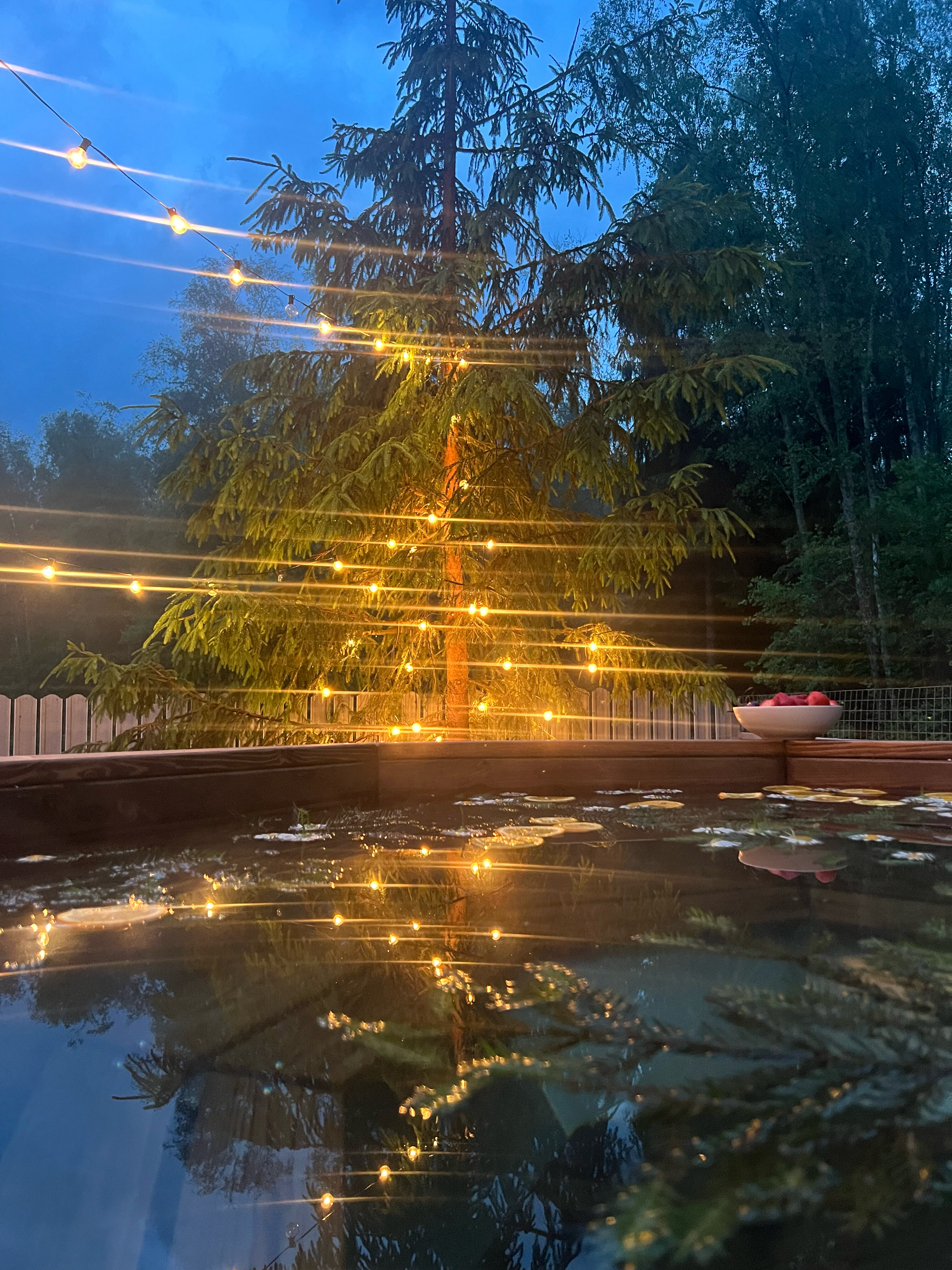 Фото У леса