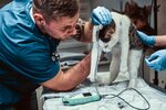 Вет на связи (Alabyana Street, 10к2), clínica veterinaria