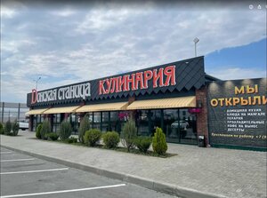 Donskaya Stanica (posyolok Dorozhny, Tsentralnaya ulitsa, 1/2), cafe