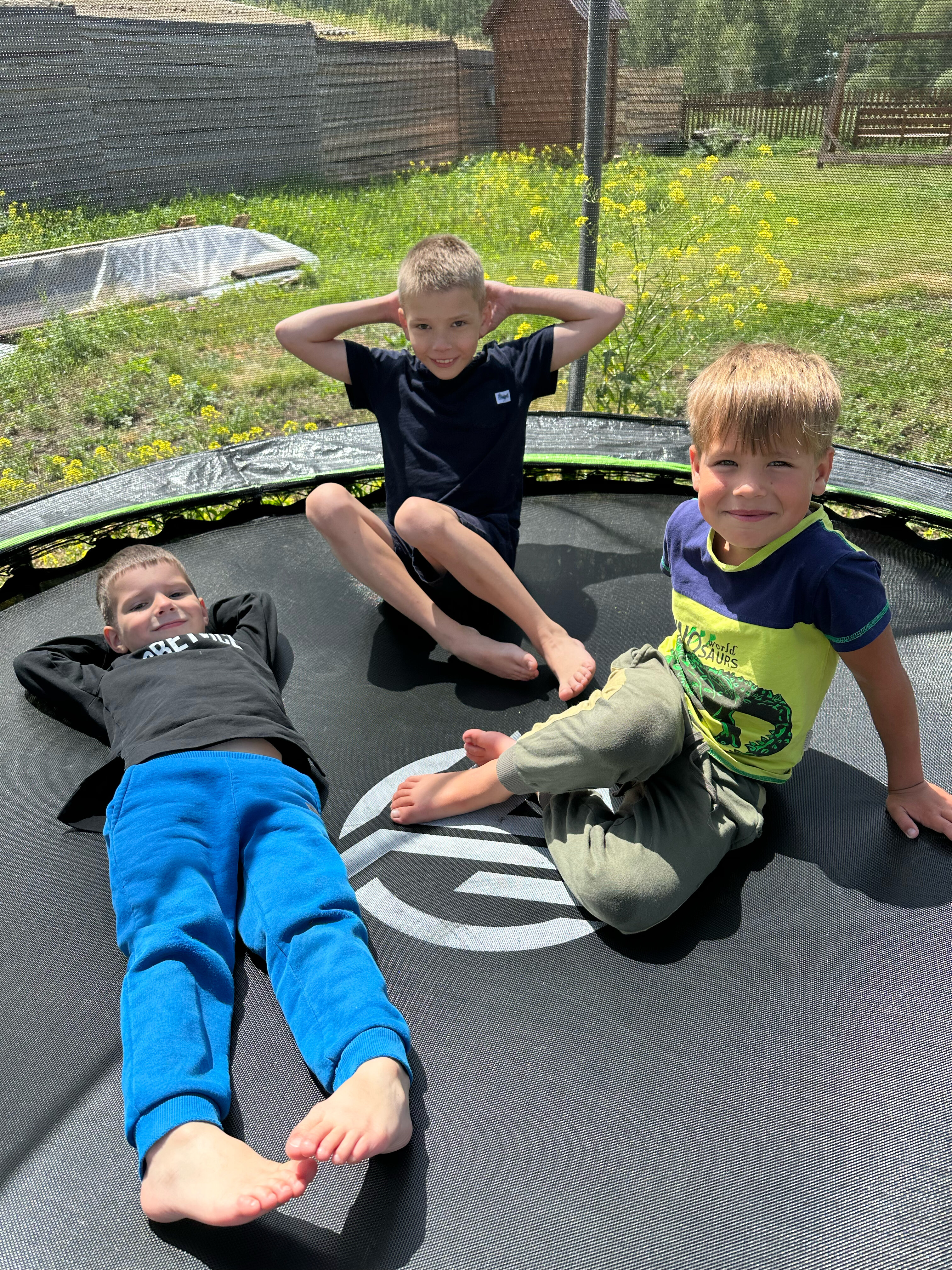 Фото Усадьба Мечталеси