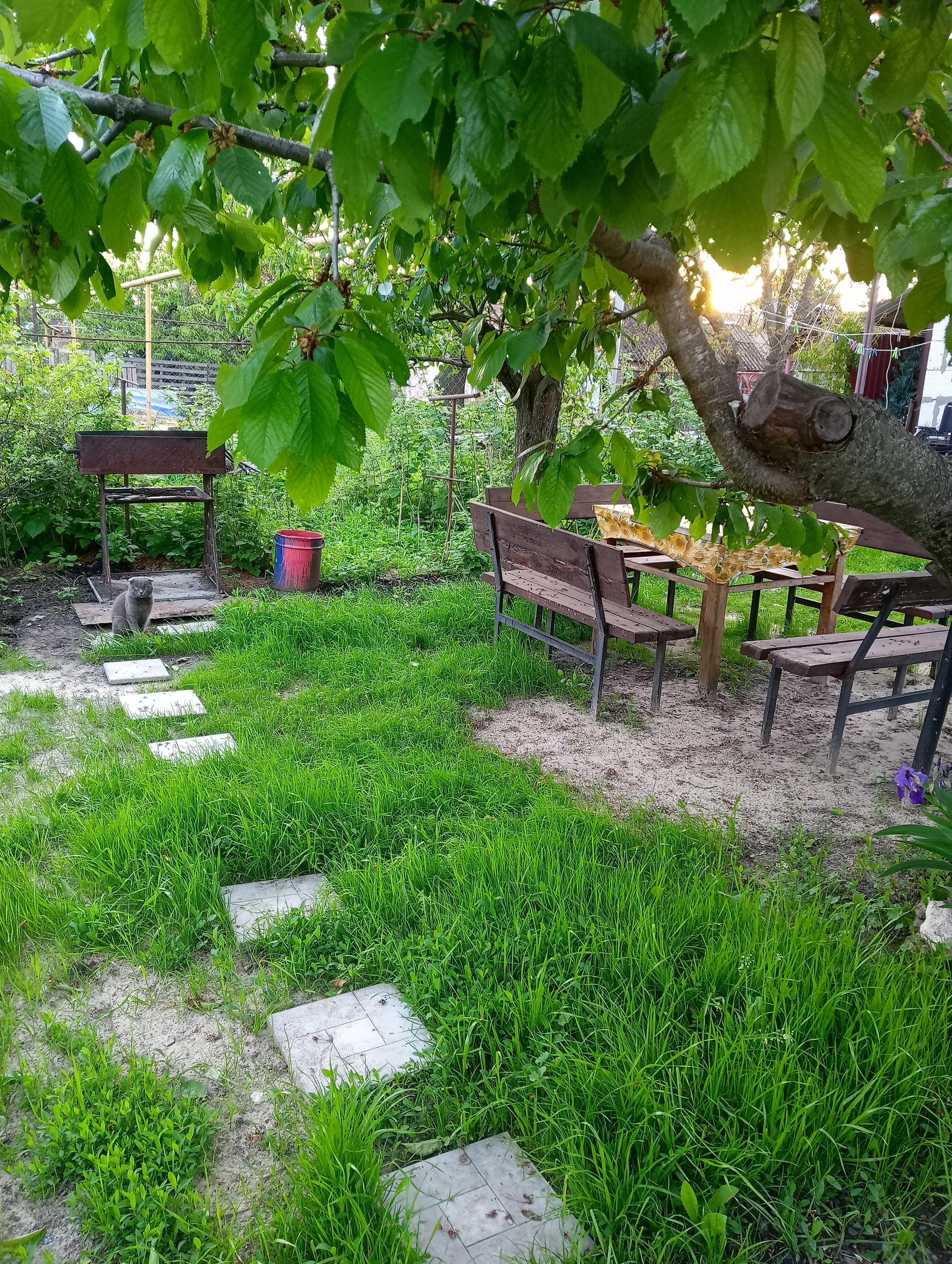 Фото Валентина