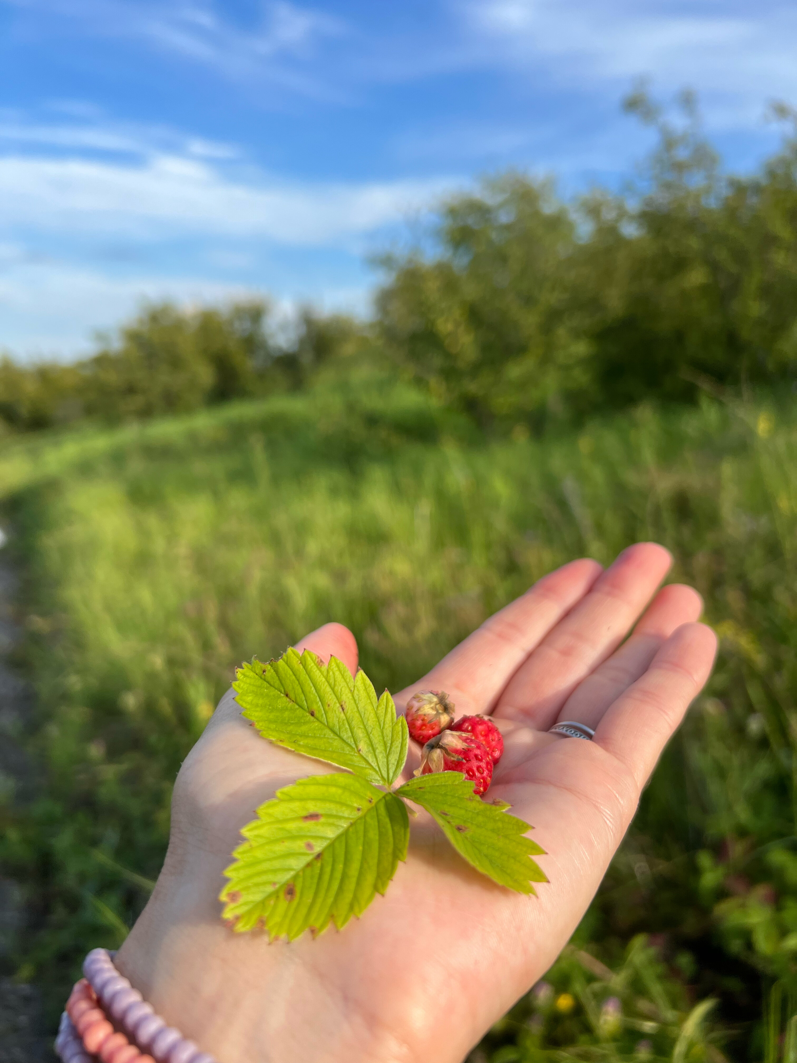 Фото Высота 63 метра над уровнем моря