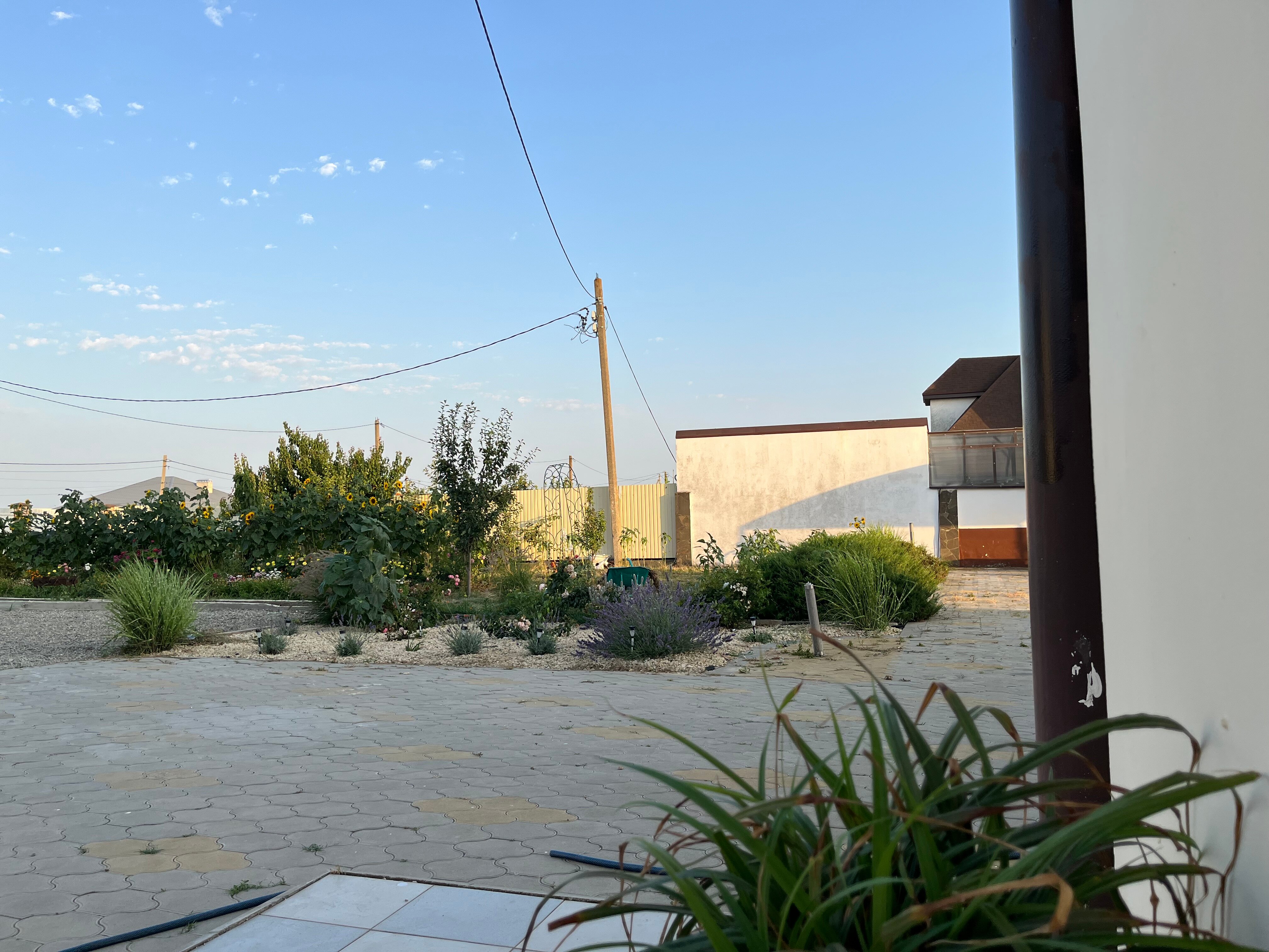 Фото Приазов