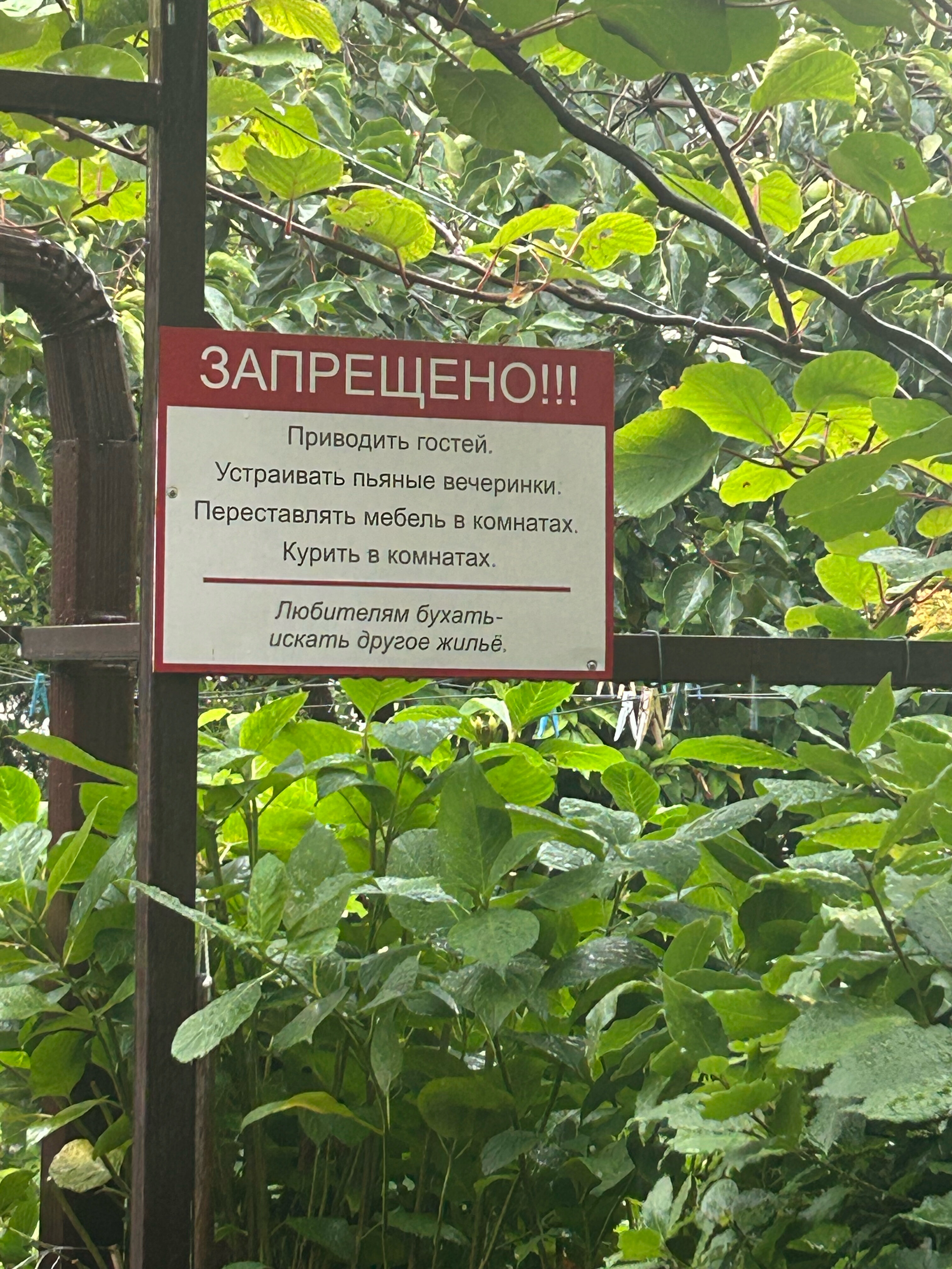 Фото Эверест