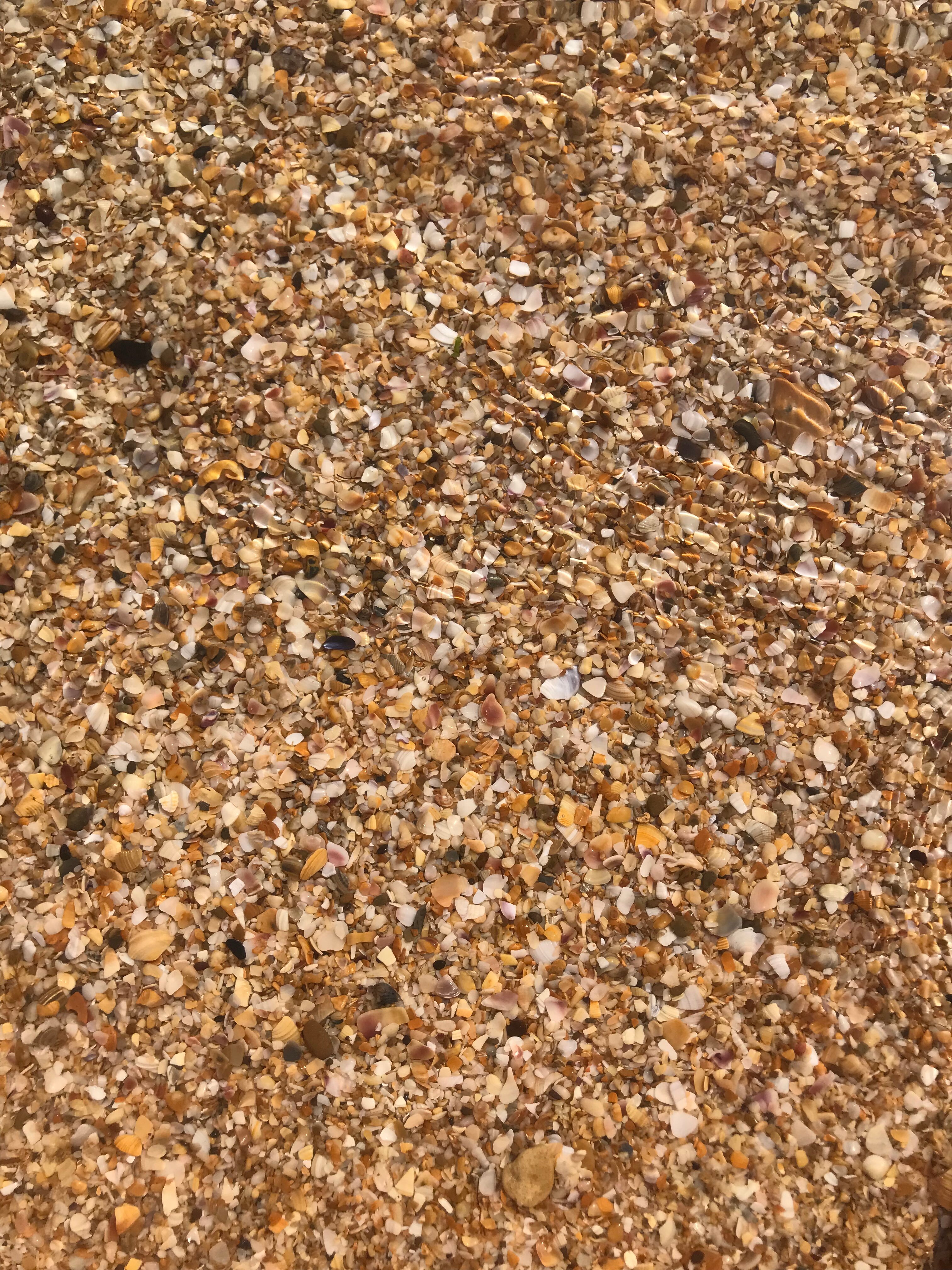 Фото Гриновские Берега