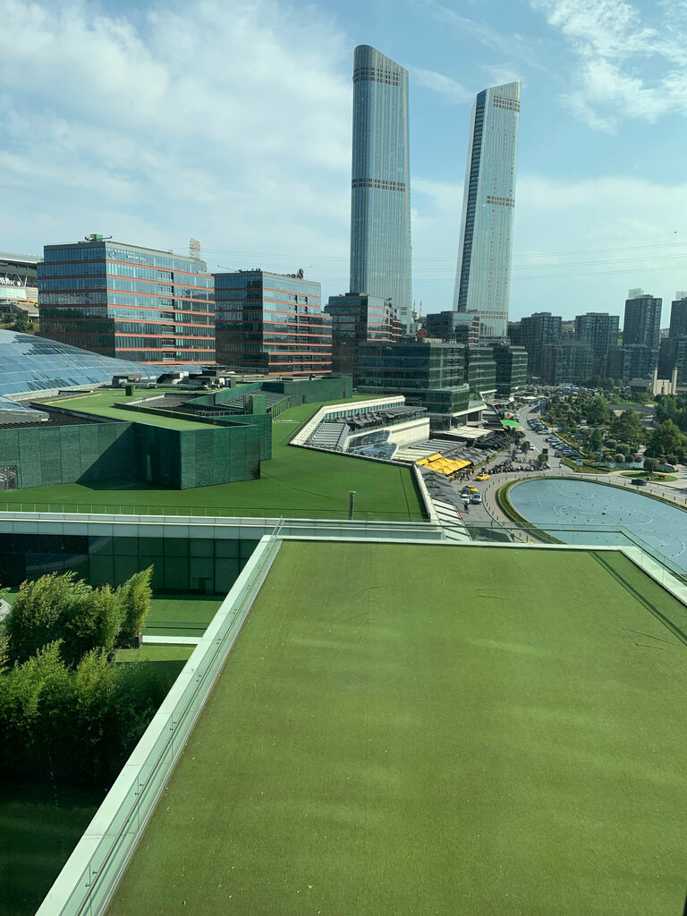 Swimming pool Radison Blu Vadi Pool Area, Sariyer, photo
