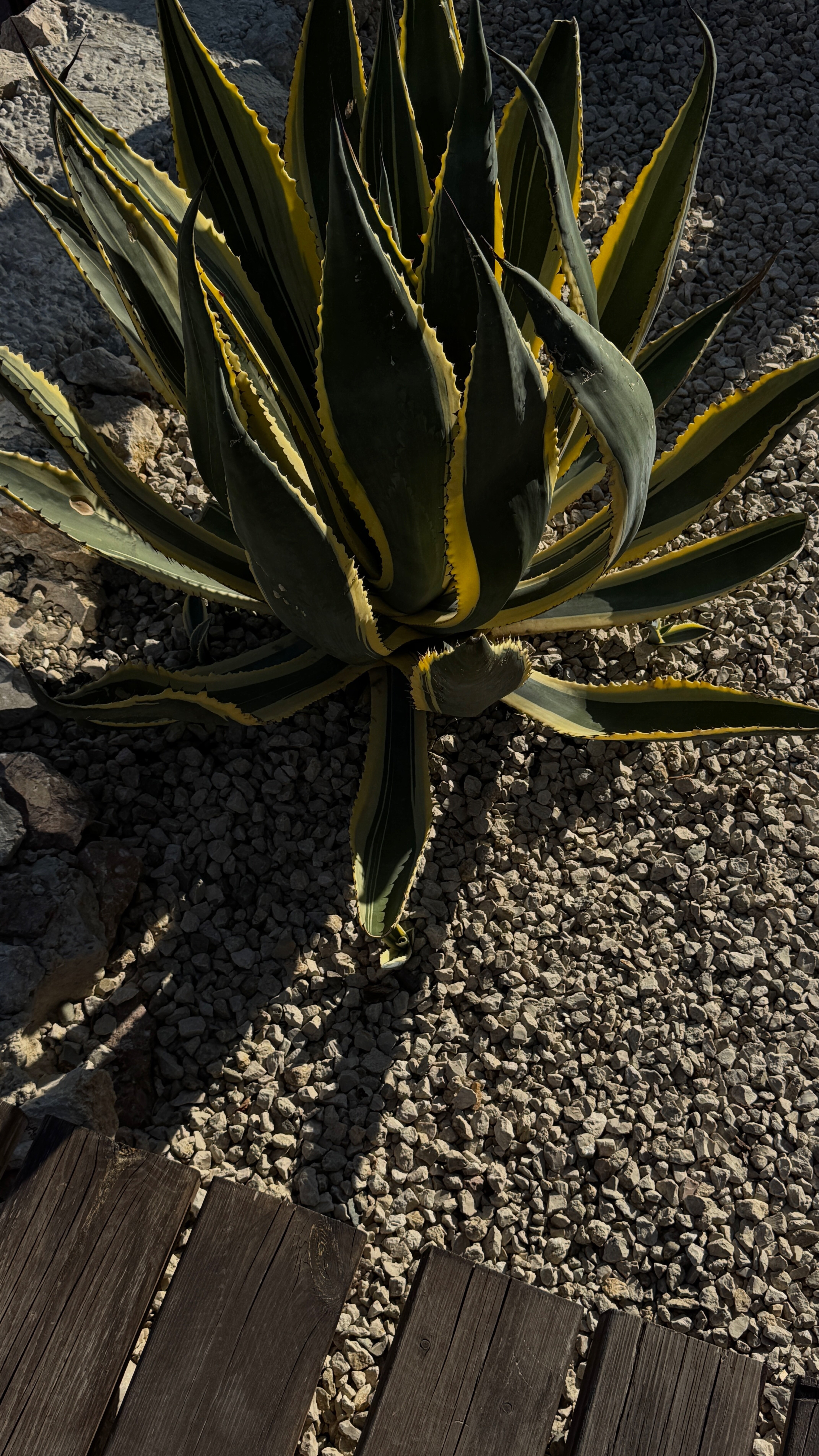 Фото Лайтхаус Коктебель