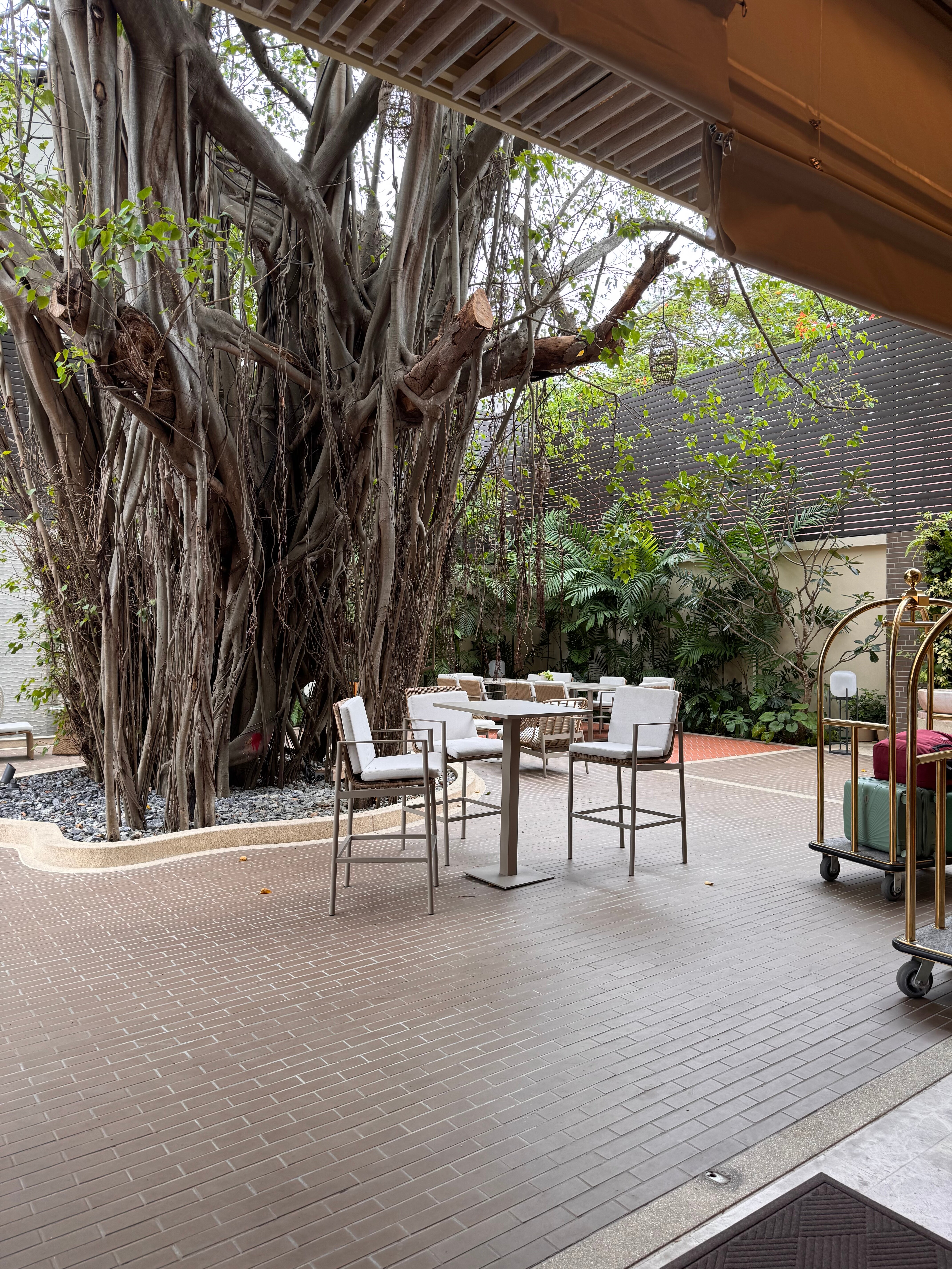 Фото Marasca Samui