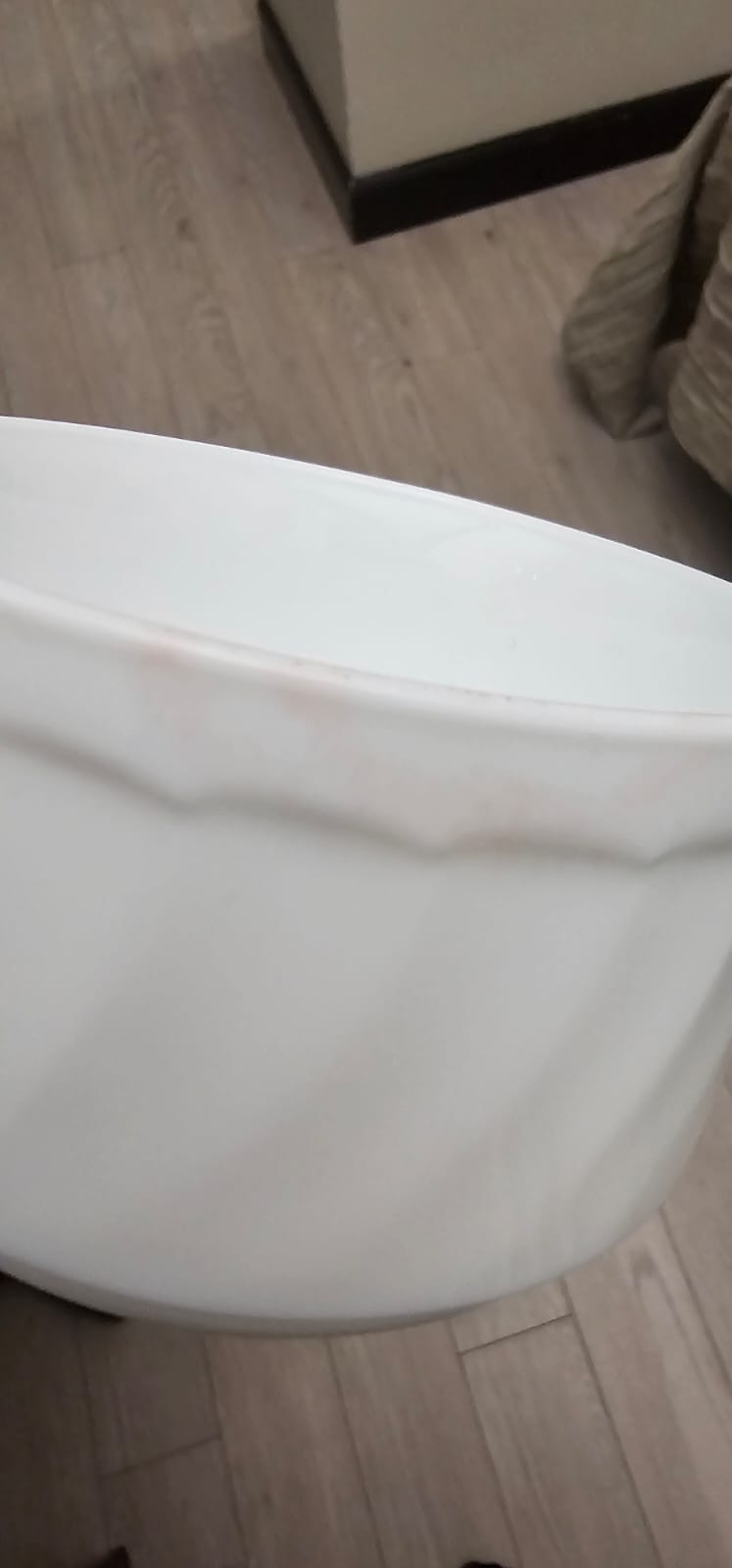 Фото Mwa Dmitrovsky