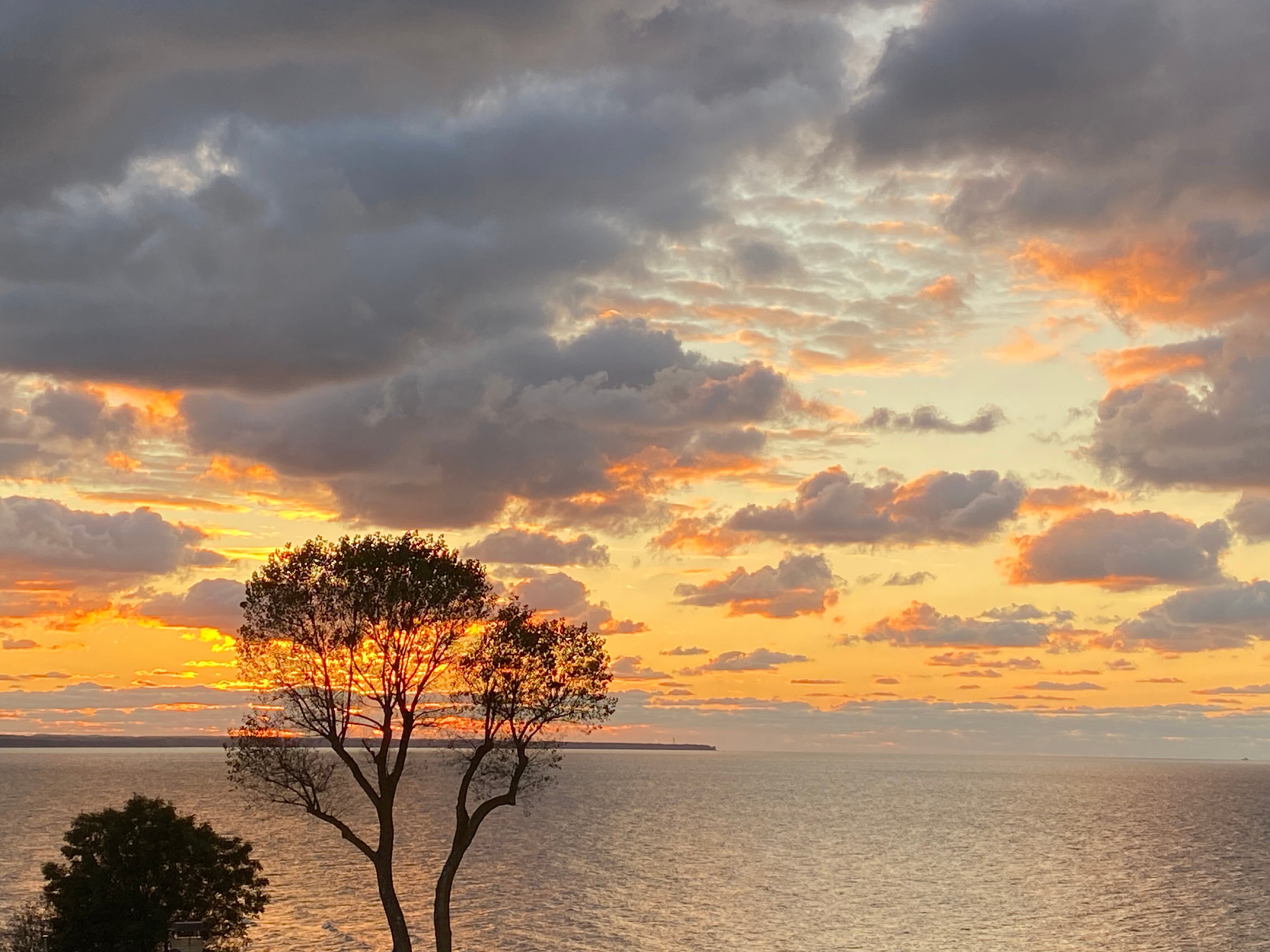 Фото Grand Hotel Royal Lions