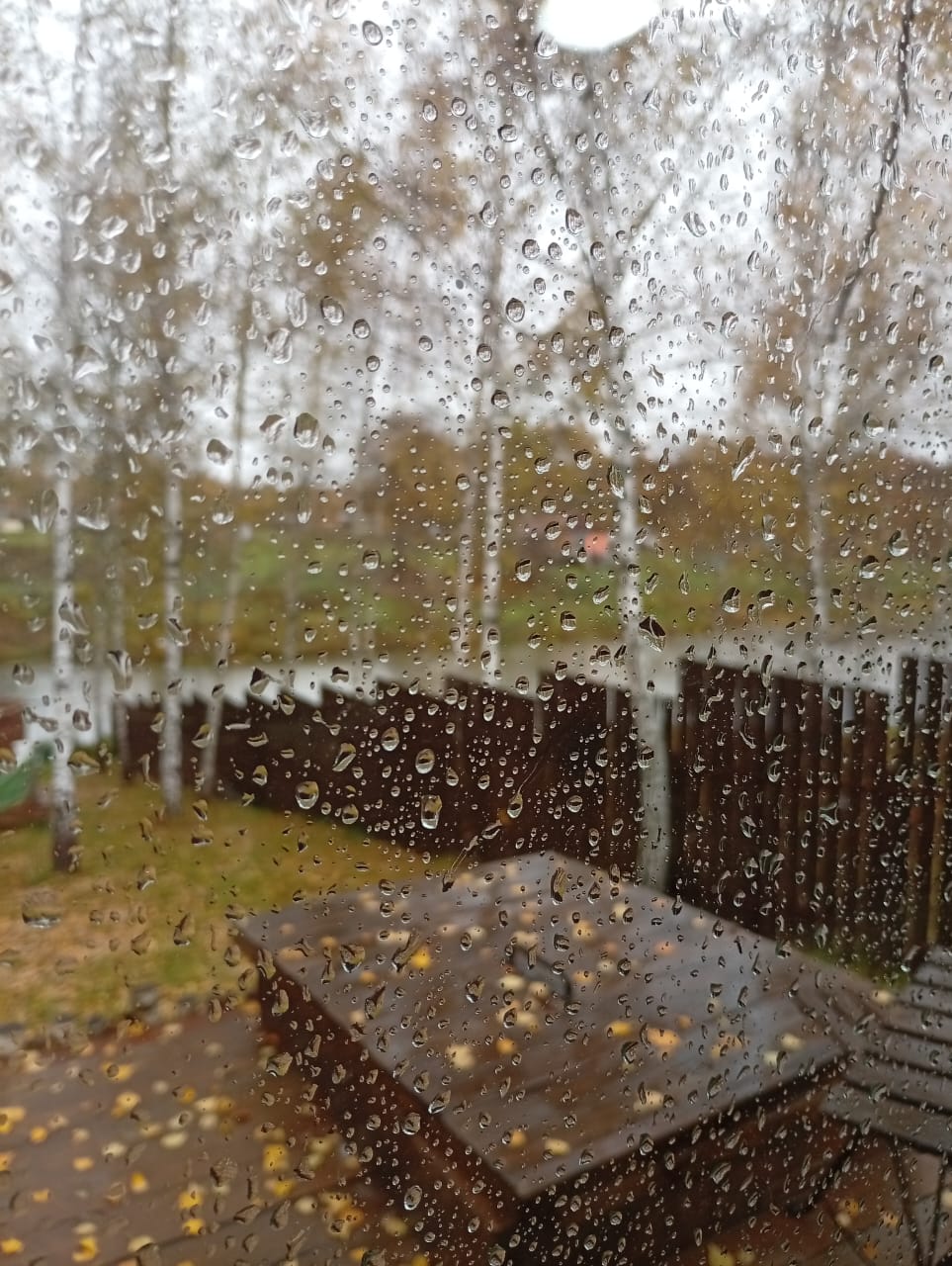 Фото Дом у озера в лесу