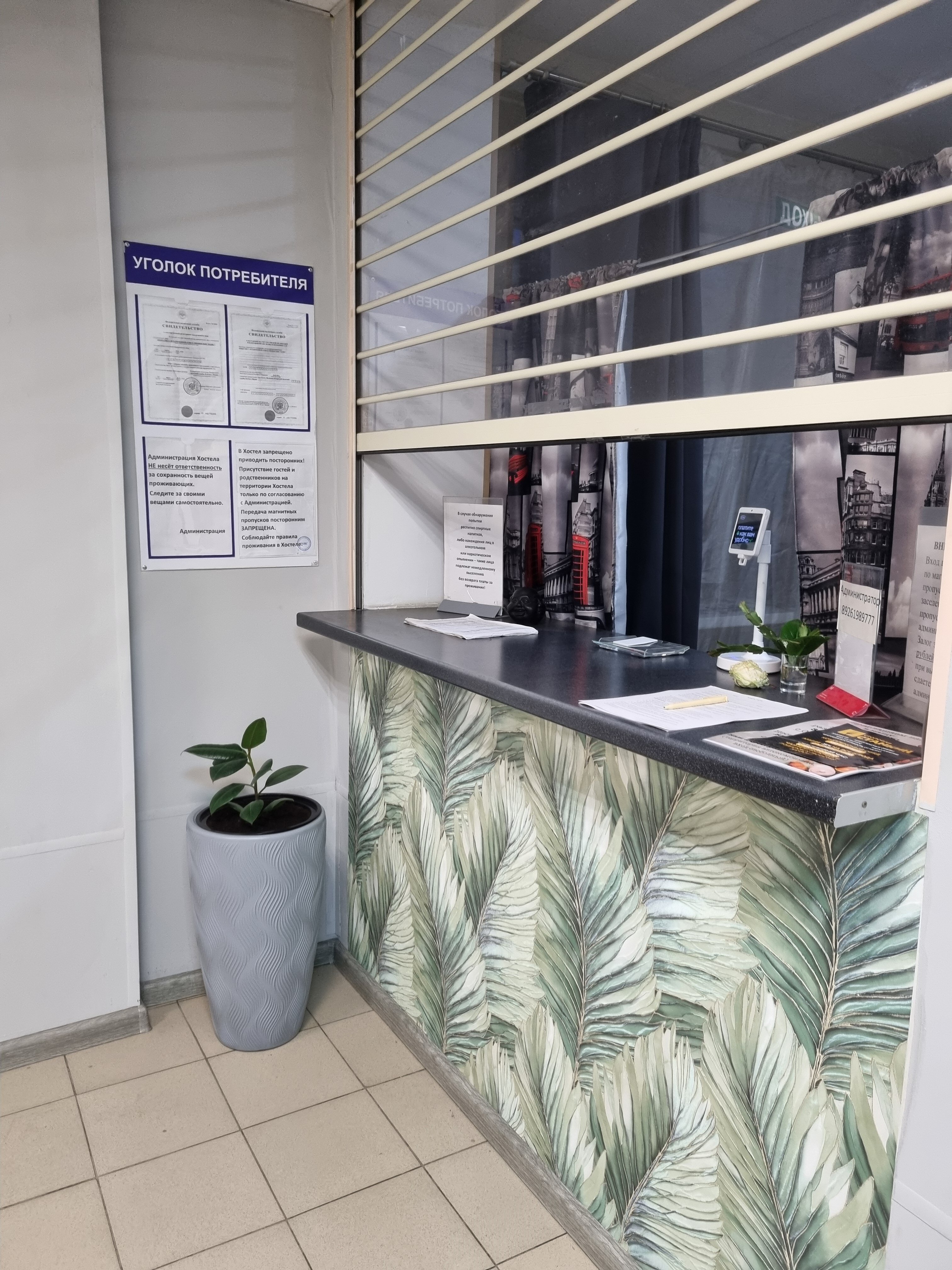 Фото Оазис Сити