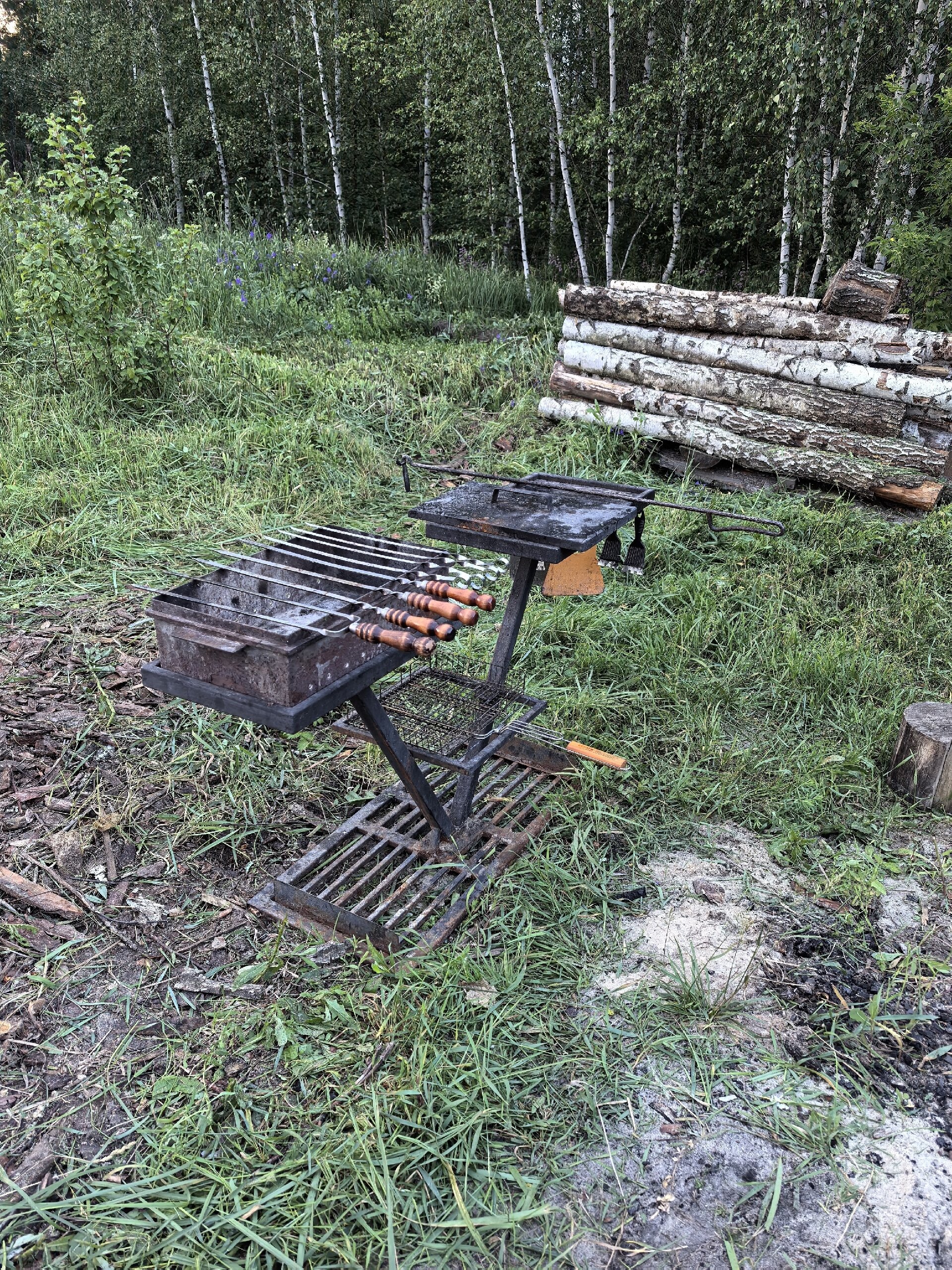 Фото Forest chan