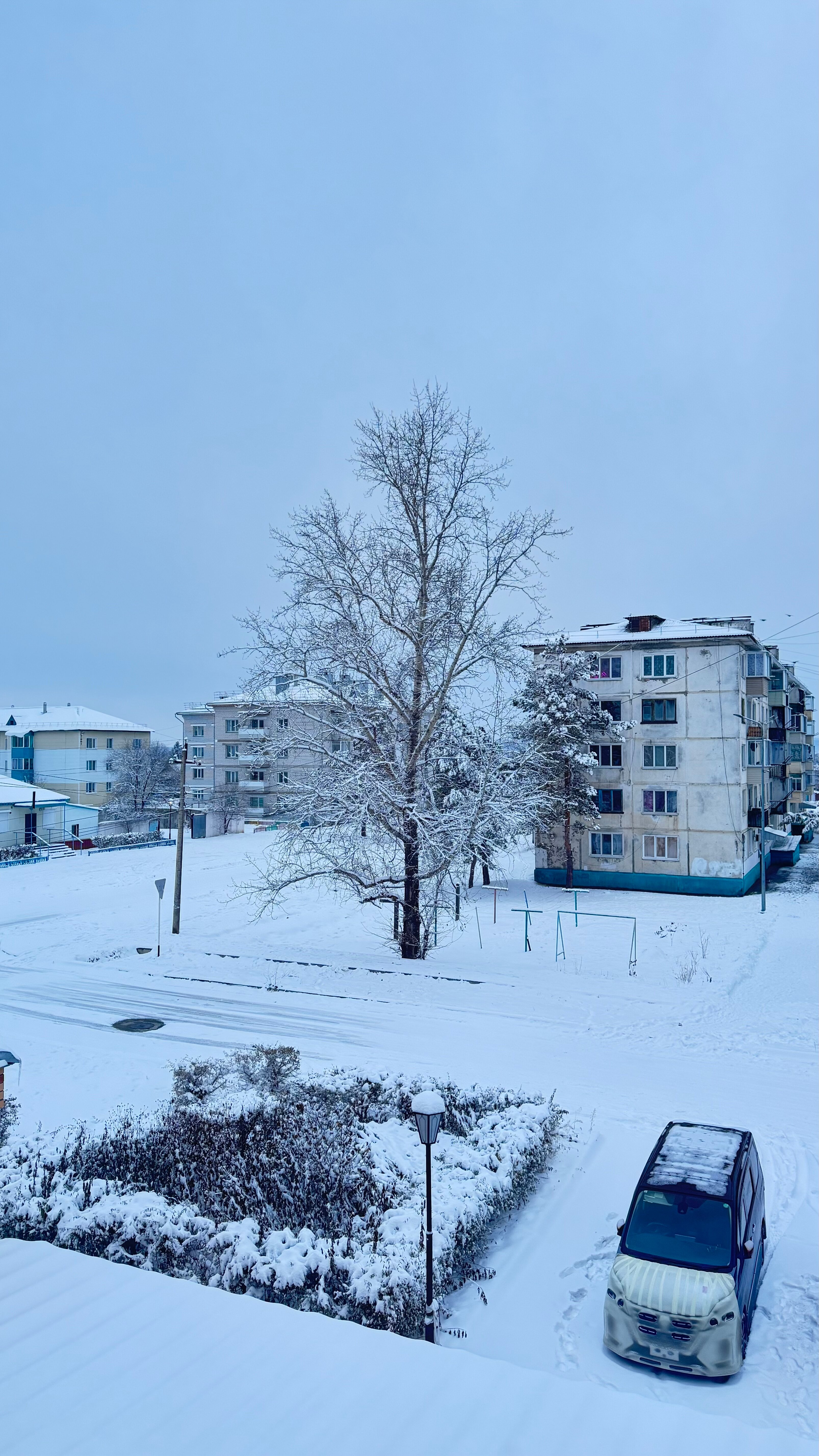 Фото Таёжная