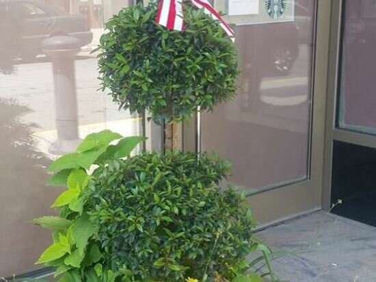 Фото Sheraton Brooklyn New York Hotel