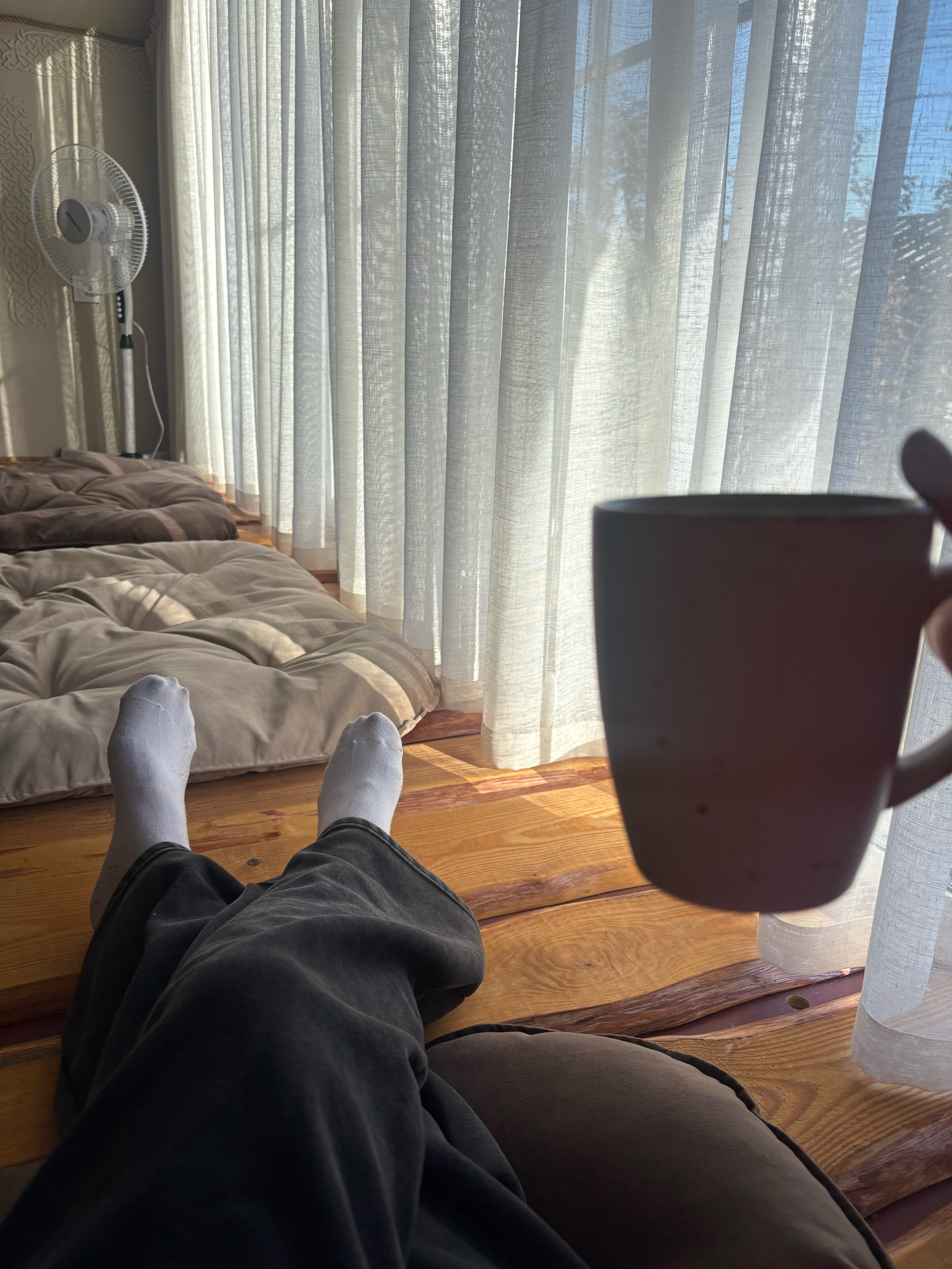 Фото Суздальская вишня