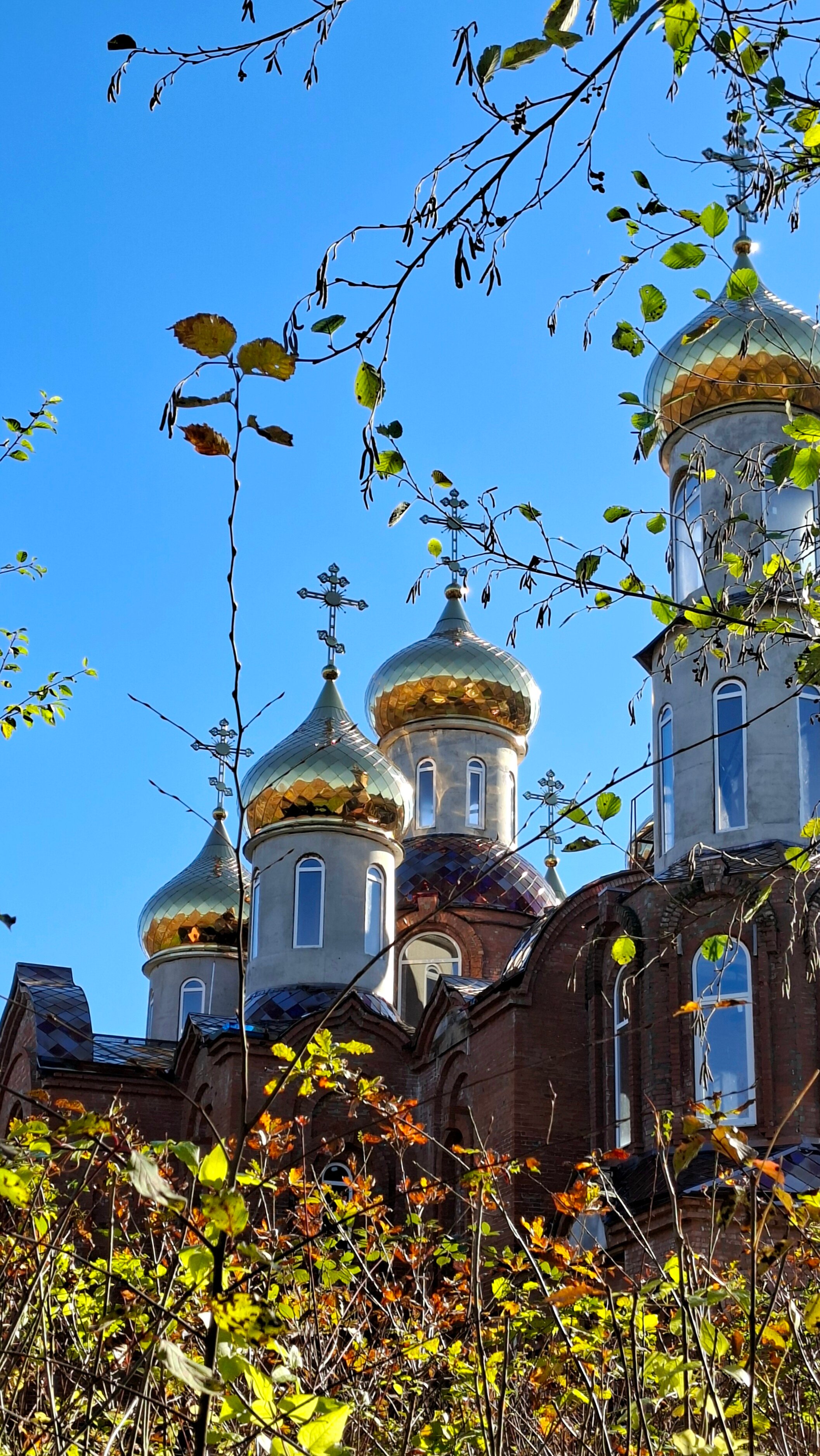 Фото Горный Воздух