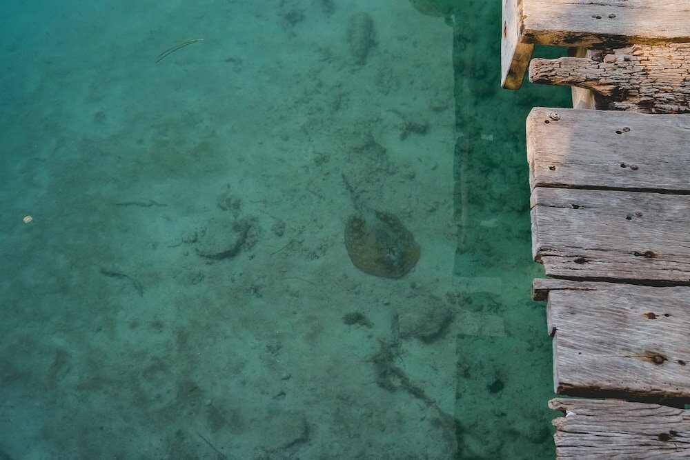 Фото Hotel Sotavento & Yacht Club