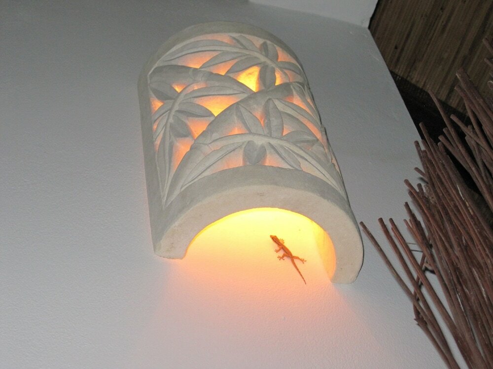 Фото Bali Dream House