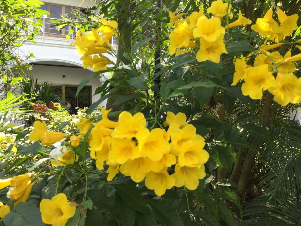 Фото White Elephant Resort