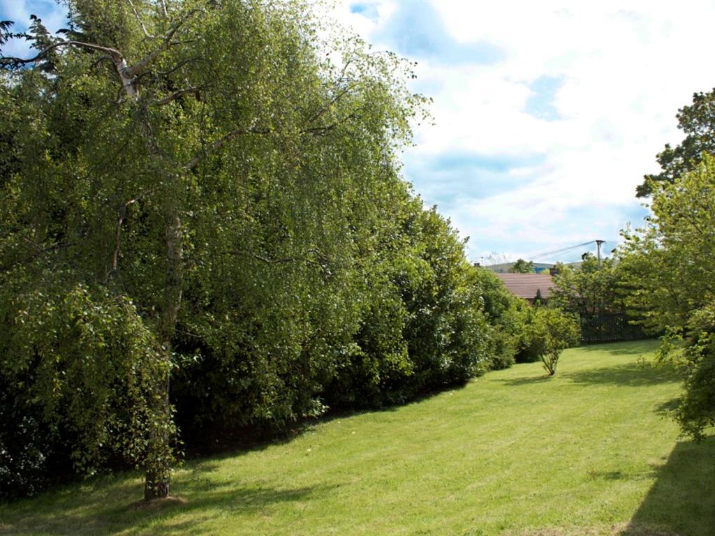 Фото The Liver View