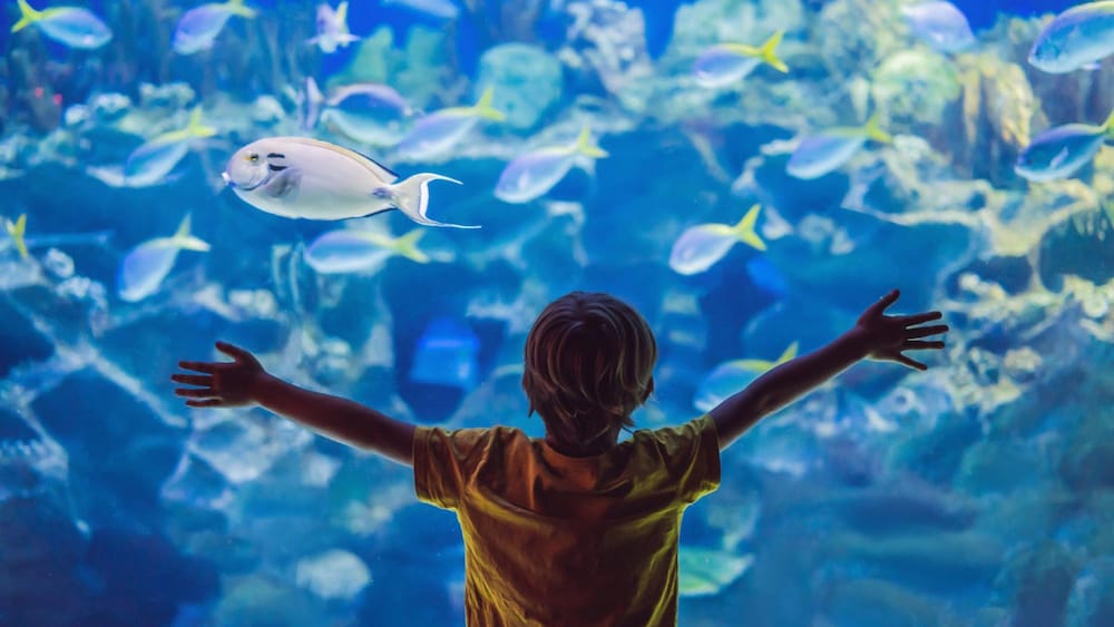 Фото Holiday Inn Bangkok, an Ihg Hotel