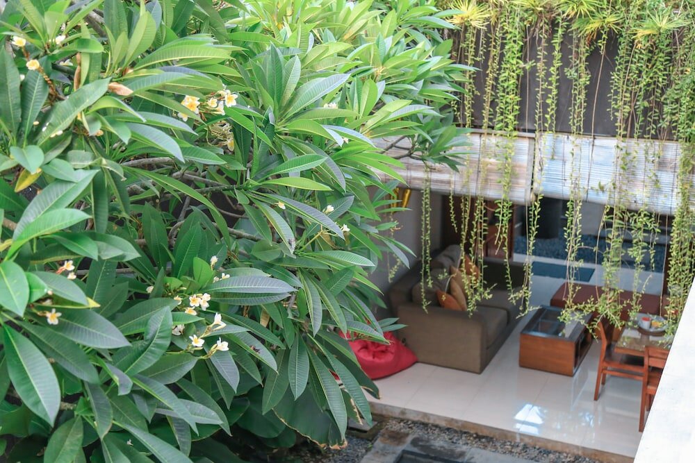 Фото Alia Home Sanur