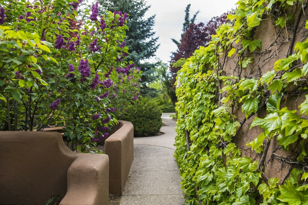 Фото Inn on the Alameda