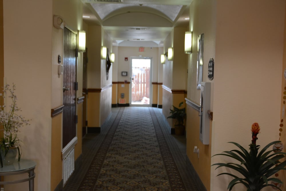 Фото Super 8 by Wyndham Austin/Airport South