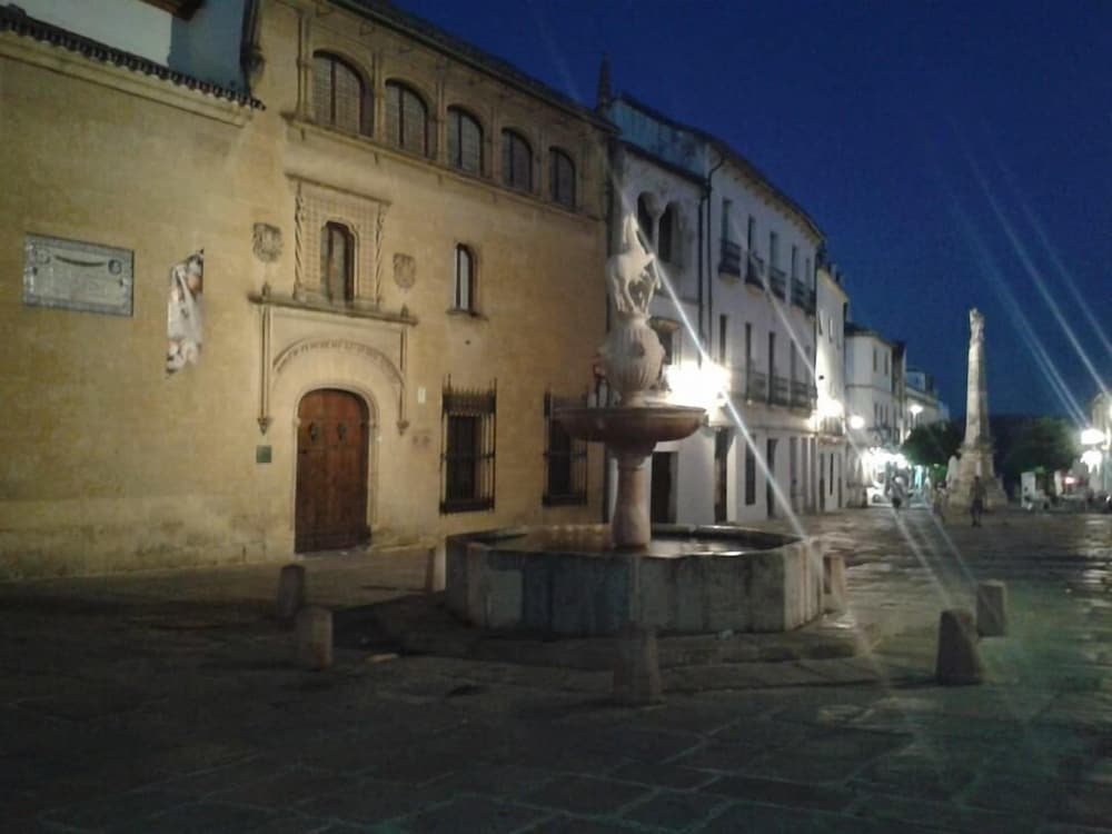 Фото Hotel Plateros