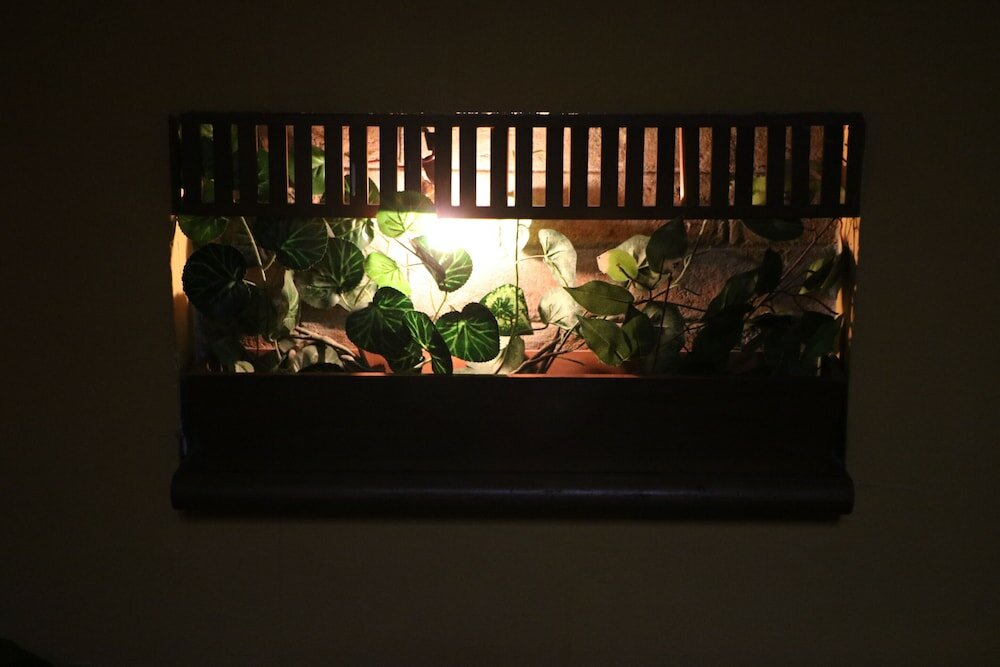 Фото Chateau Royal