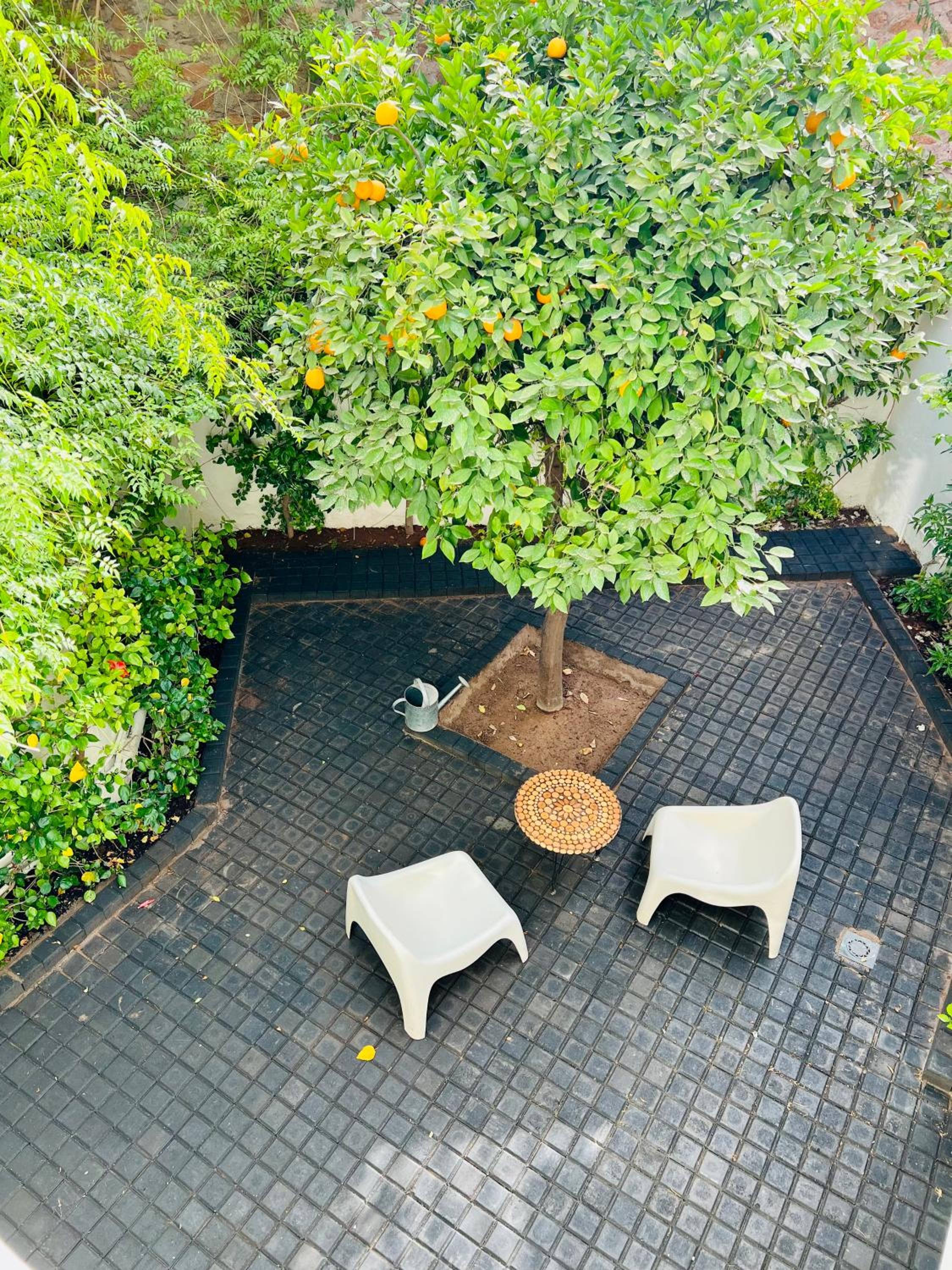 Фото Marrakech Palm Club