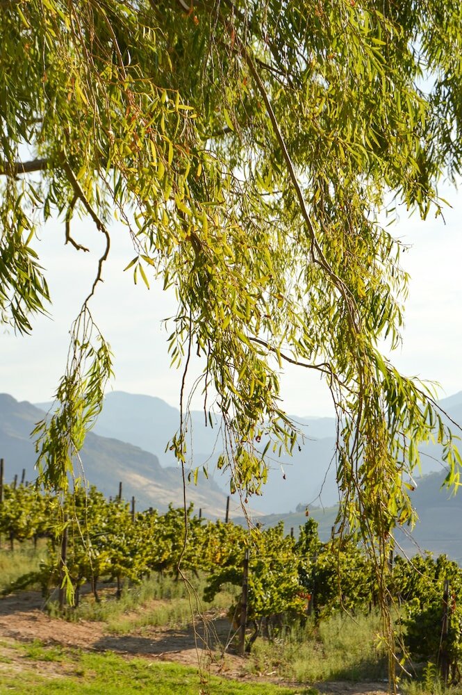 Фото Maison Montagne