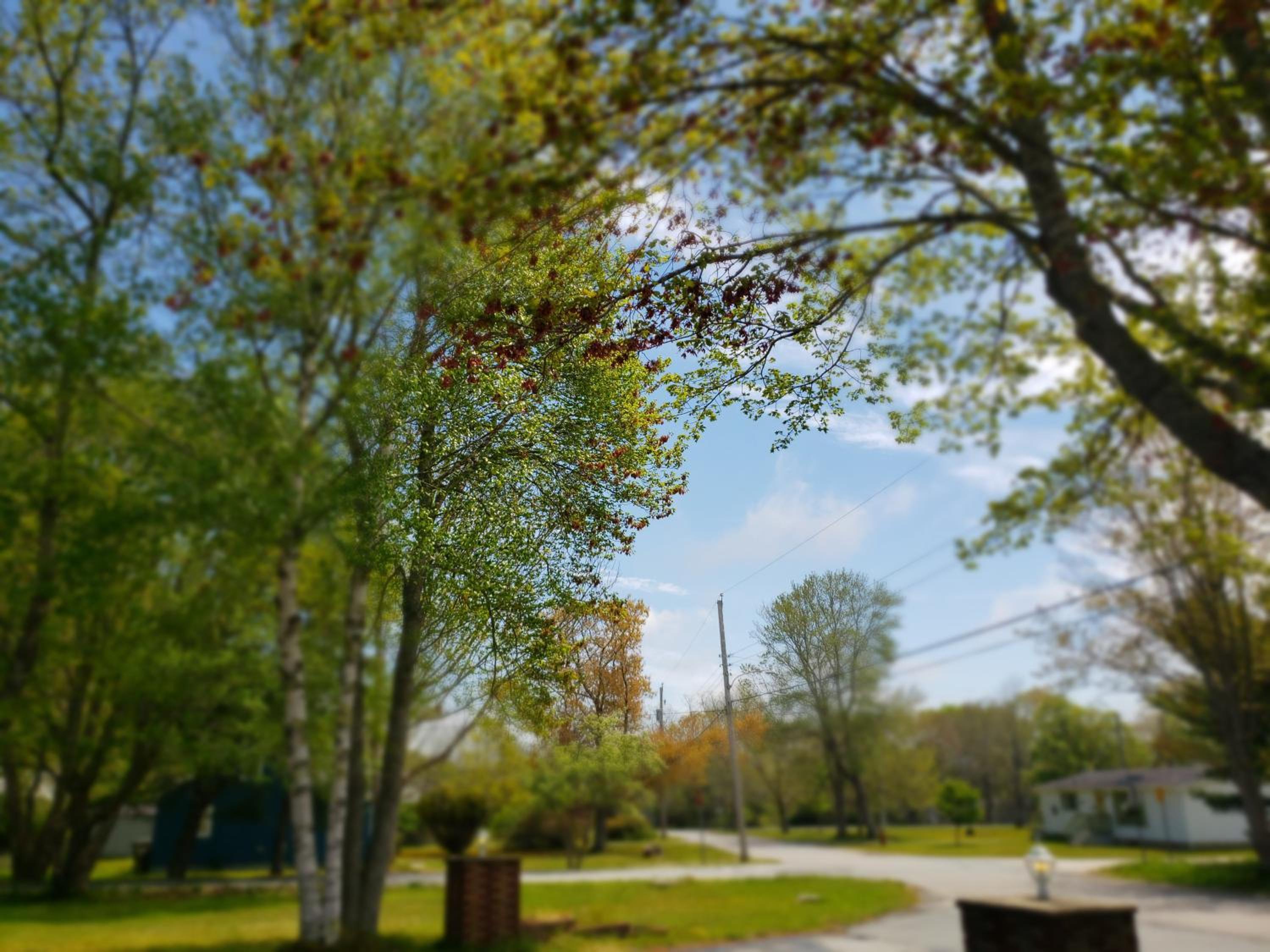 Фото Wildwood Motel