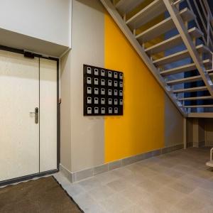 Фото Дубровский