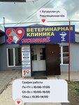 9 Zhizney (Revolyutsionnaya ulitsa, 42А), veterinary clinic