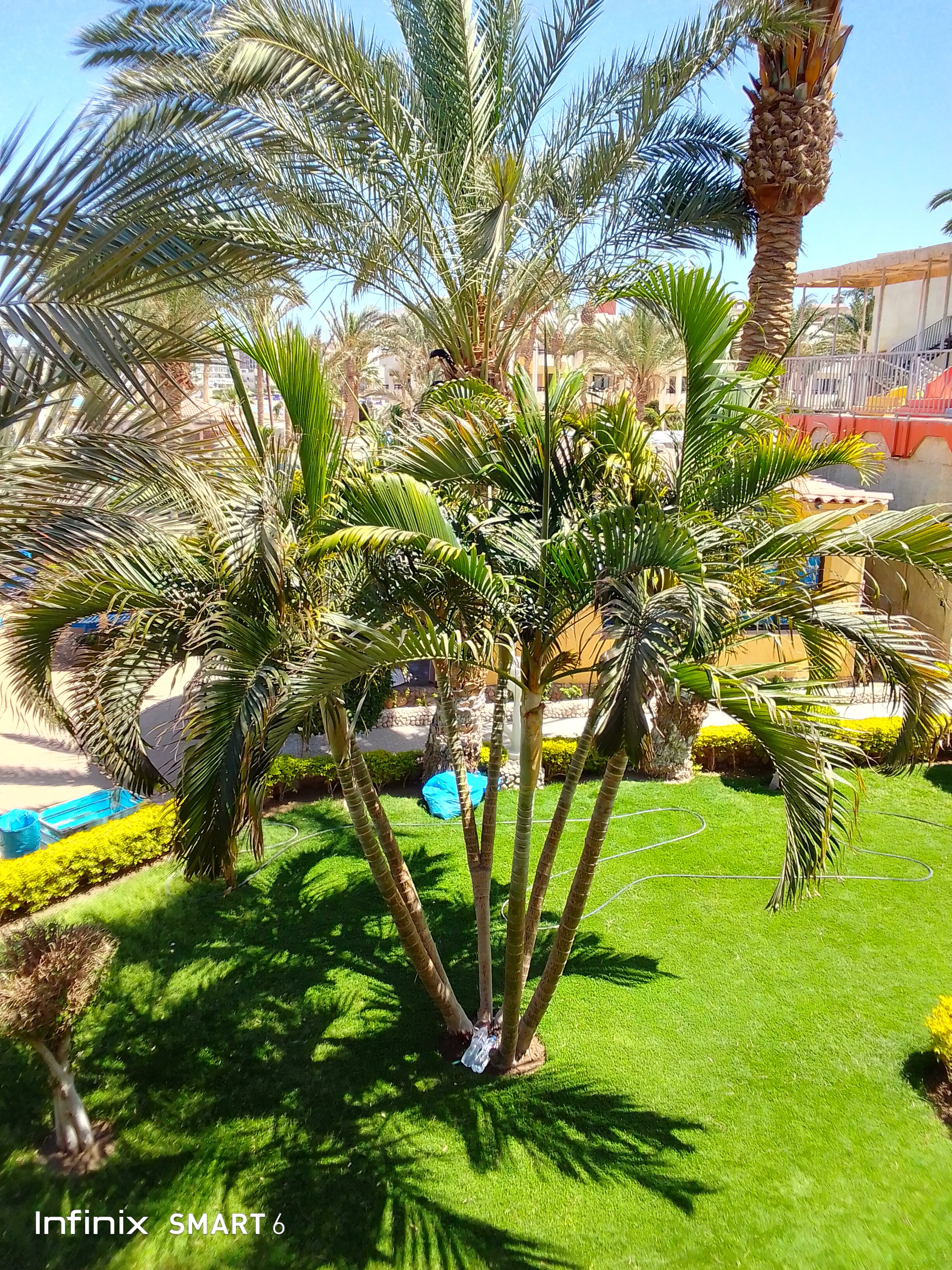 Фото Sand Beach Resort