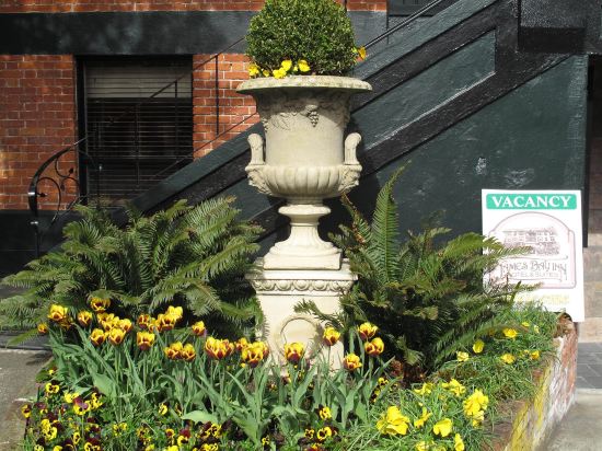 Фото James Bay Inn Hotel & Suites