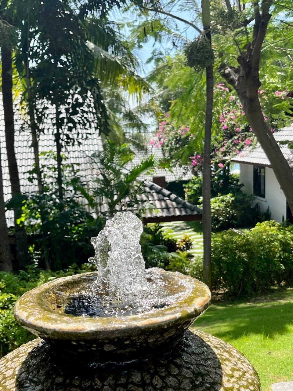 Фото The Cliff Resort & Residences