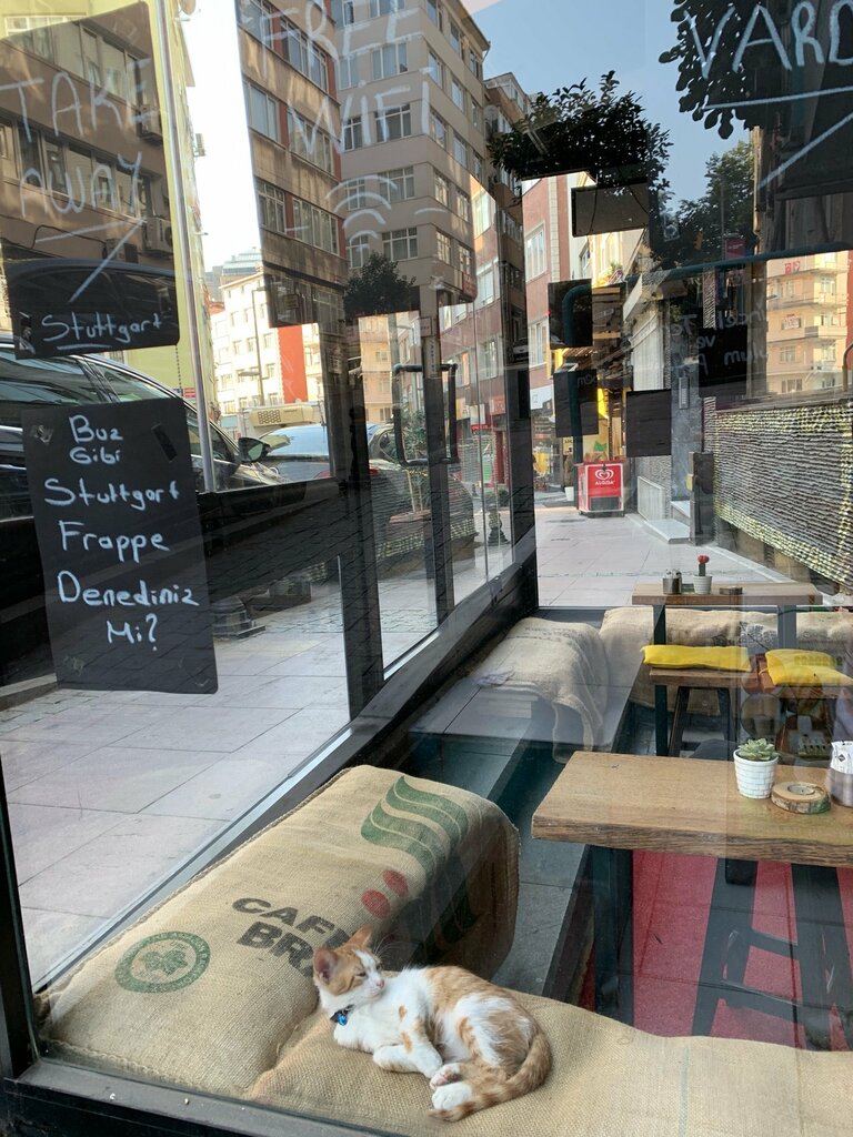 Cafe Stuttgart Cafe, Istanbul, photo
