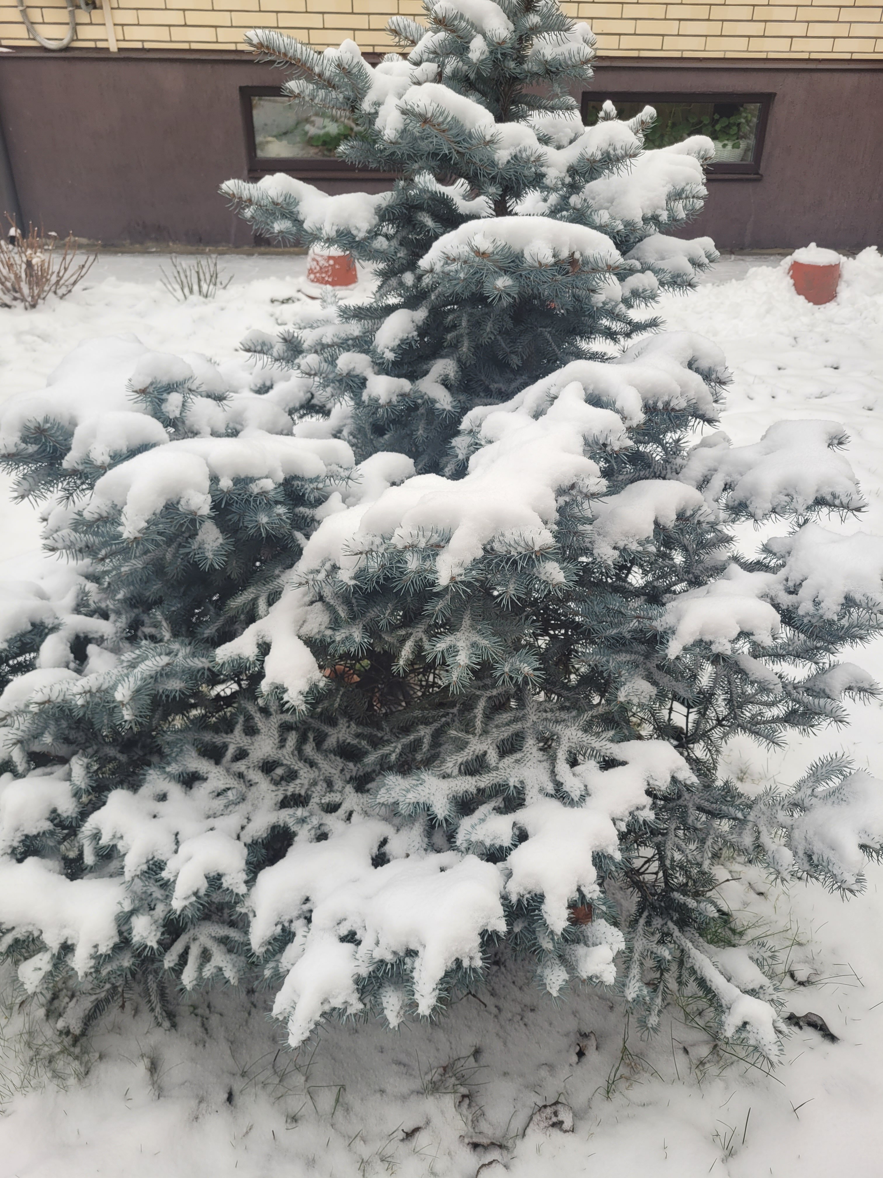 Фото Дом на Октябрьской