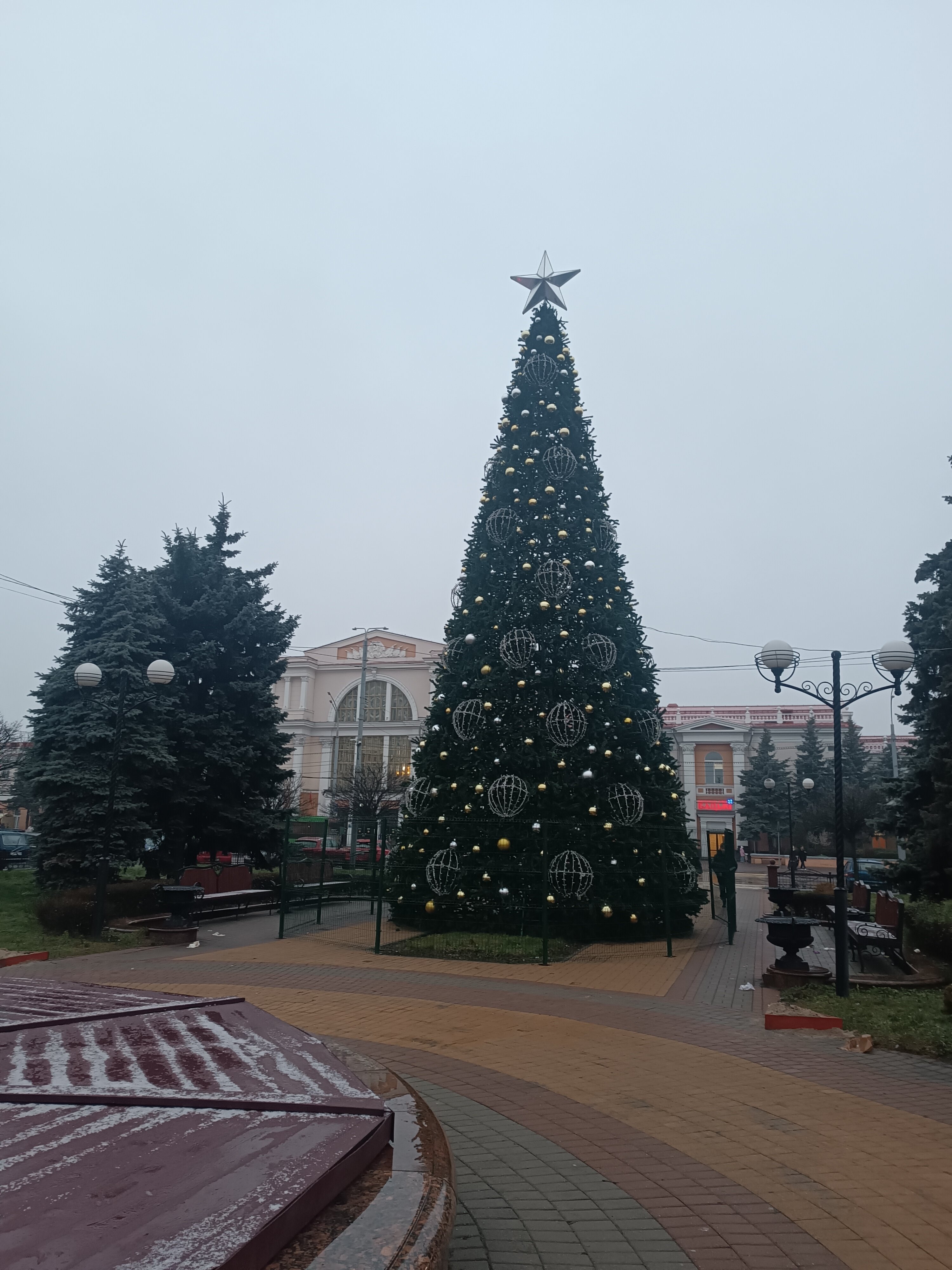 Фото Гомель