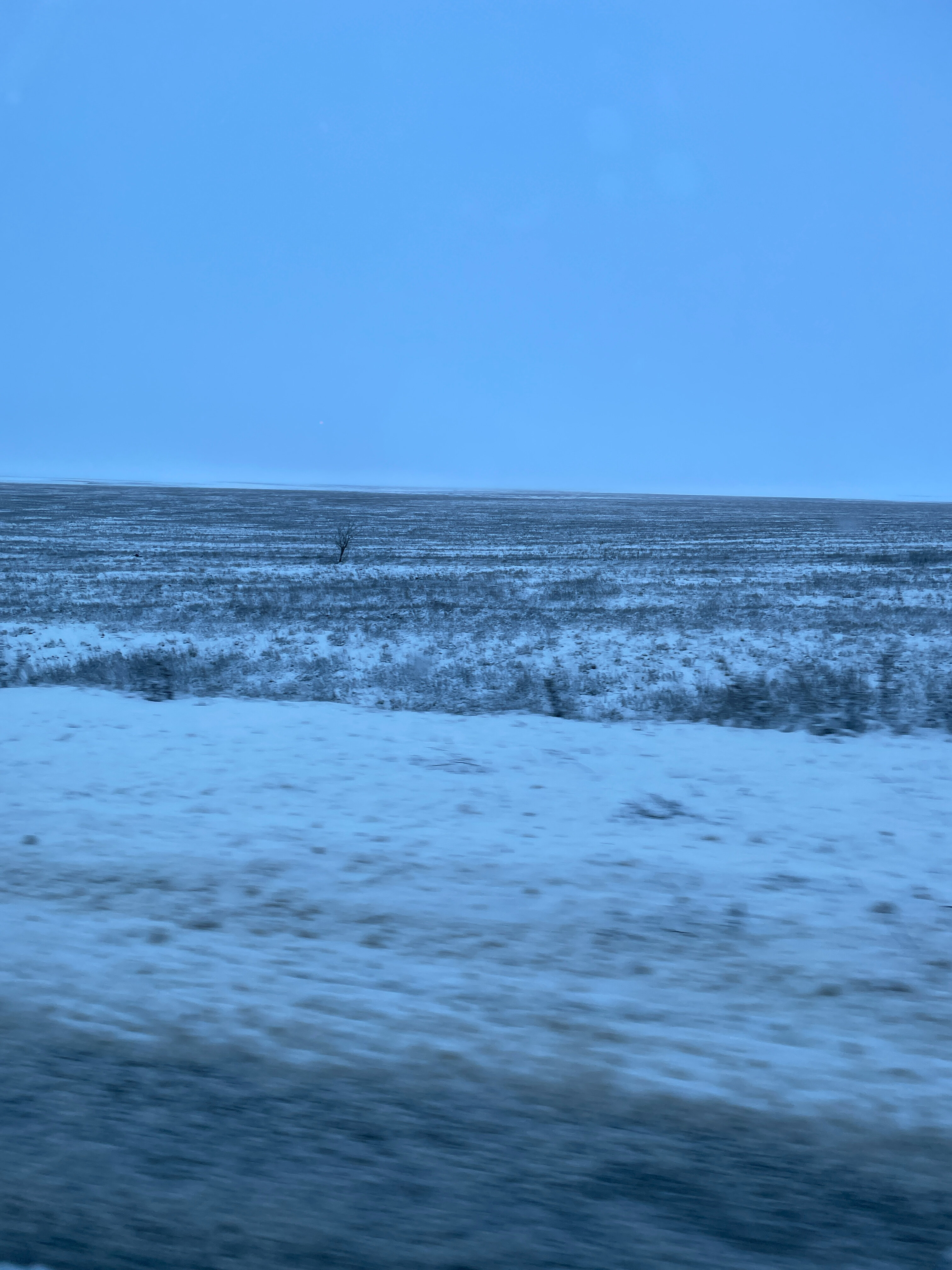 Фото У Старого Хурула