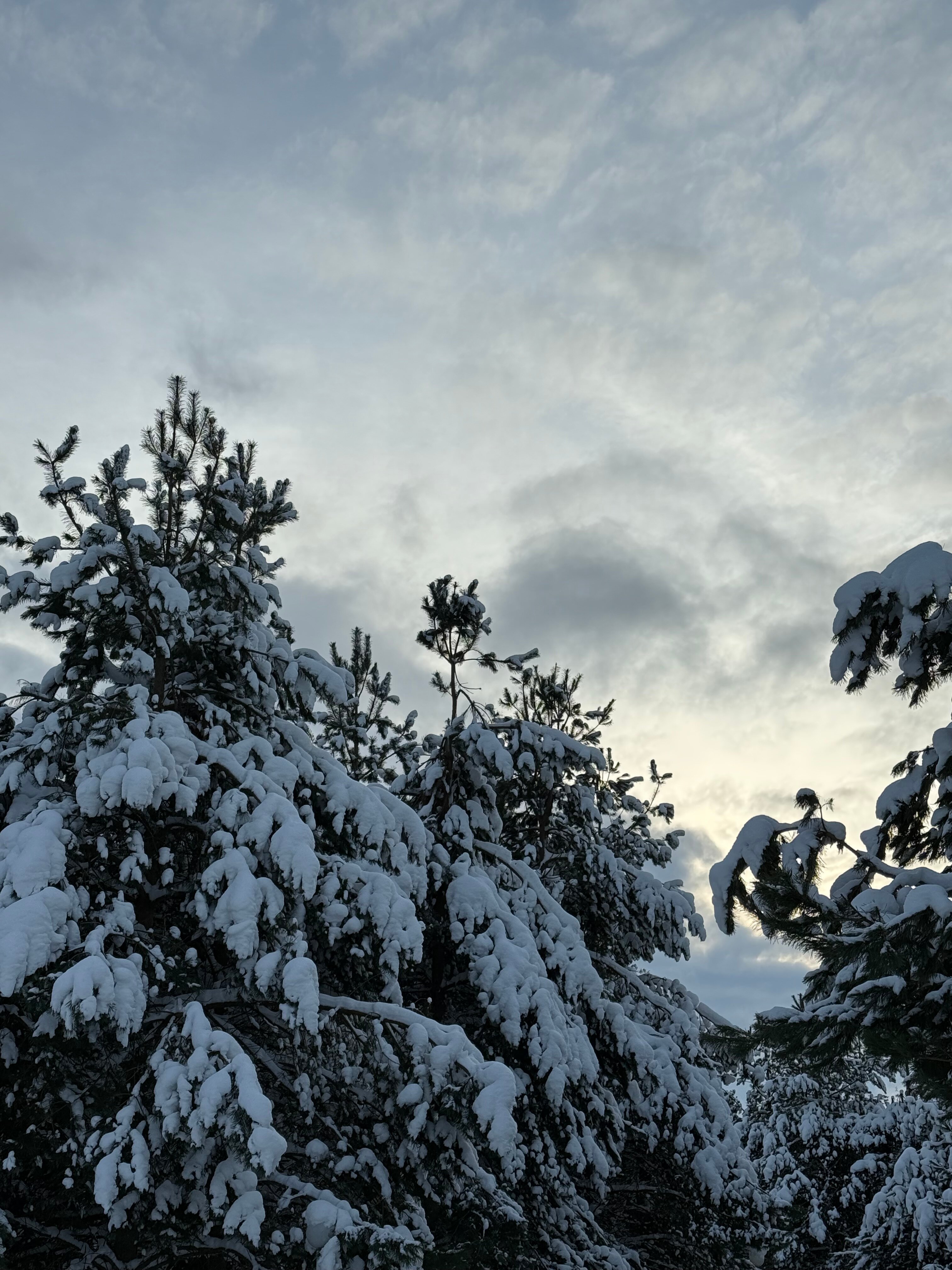 Фото Дом с характером