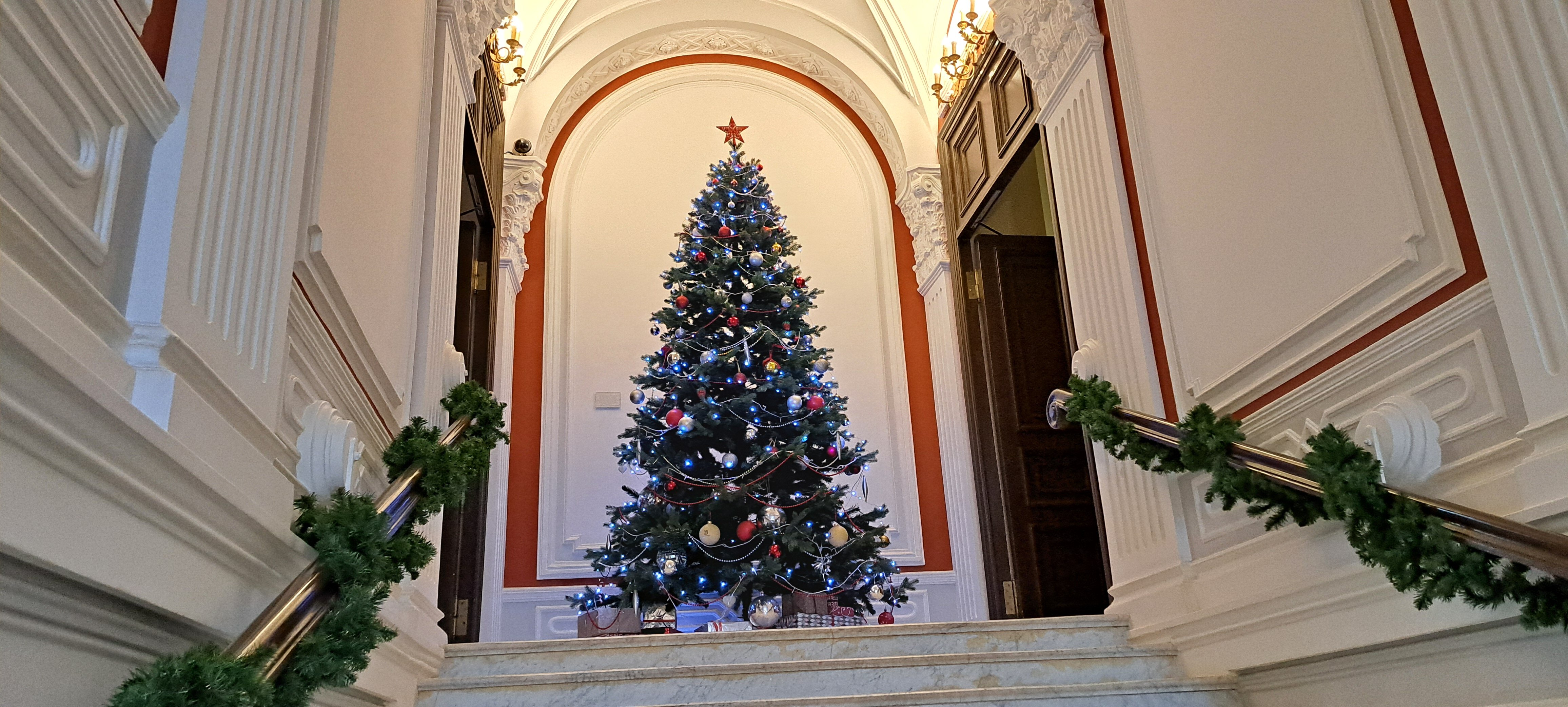 Фото Бонотель