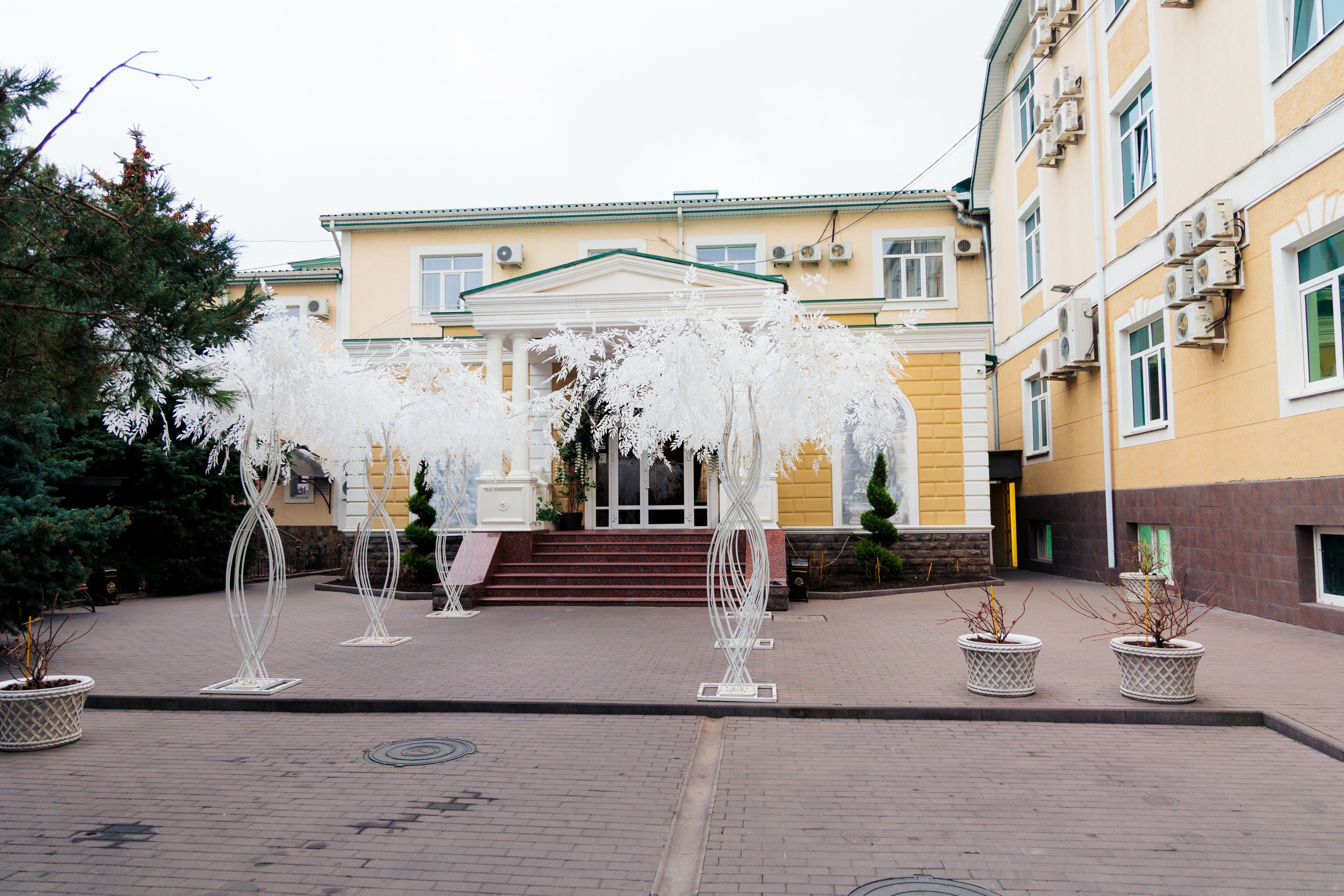 Фото Эдельвейс