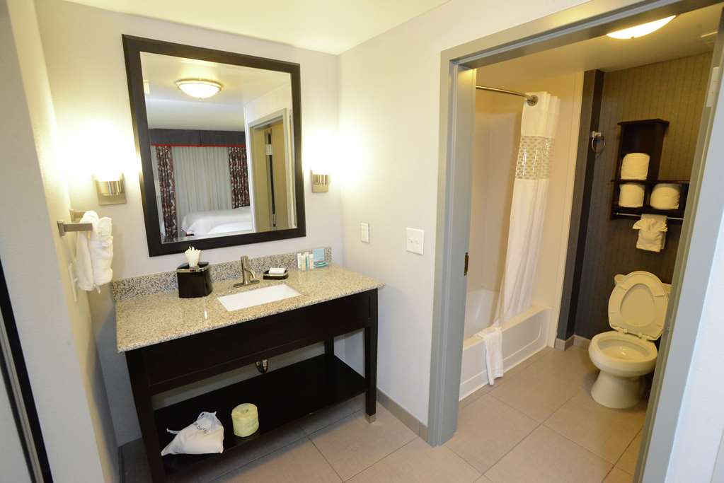 Фото Hampton Inn & Suites Albany At Albany Mall