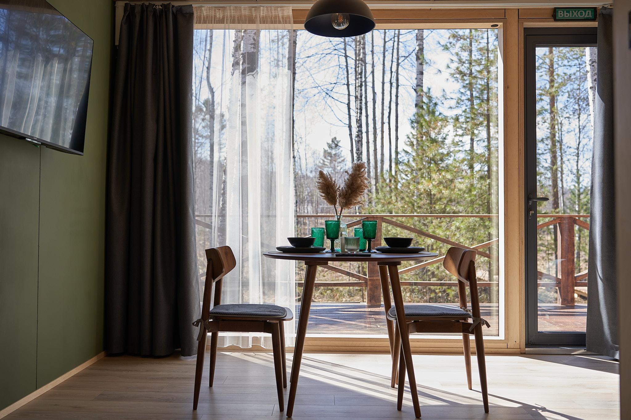 Фото Снежные Гуси