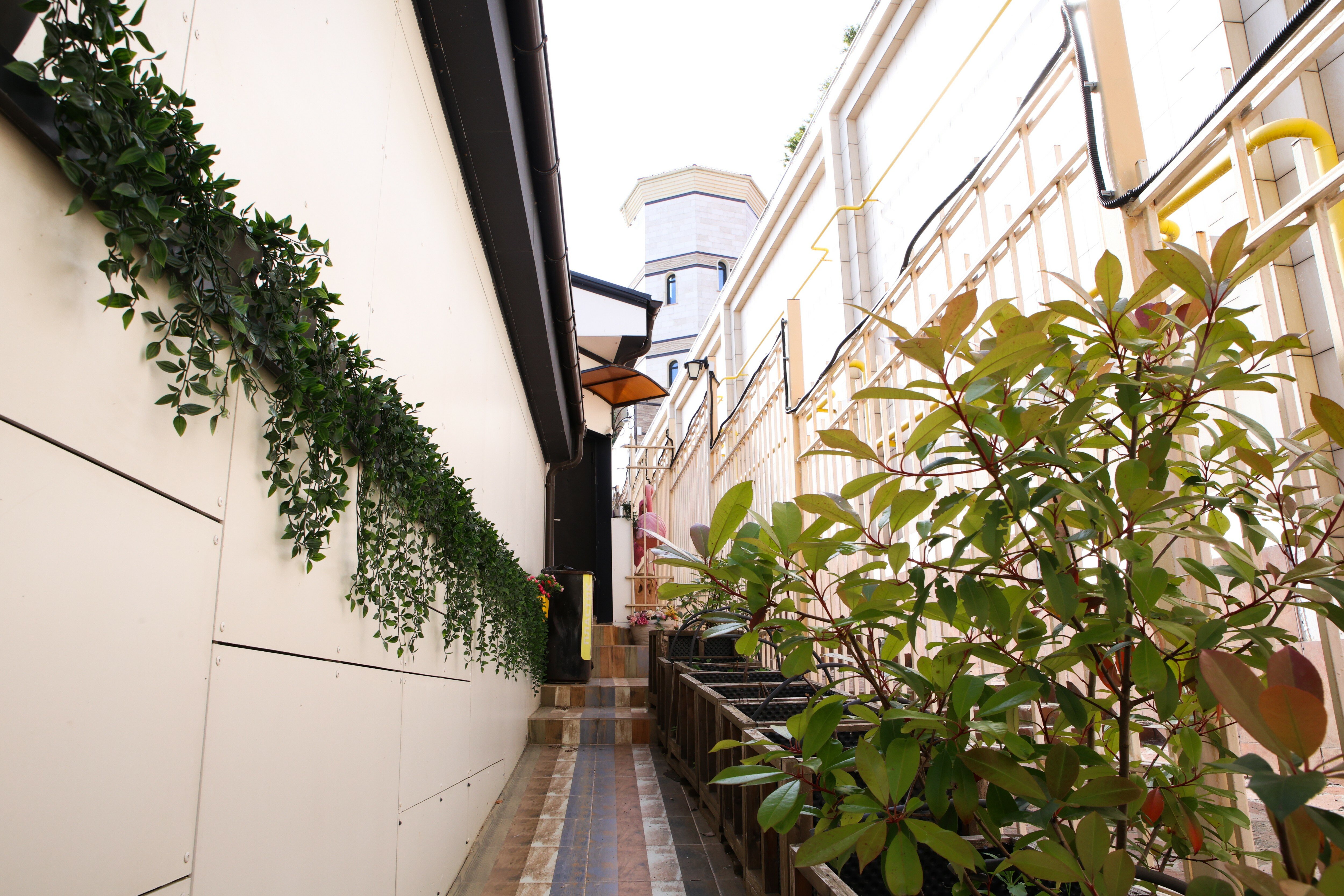 Фото ЛаСкала