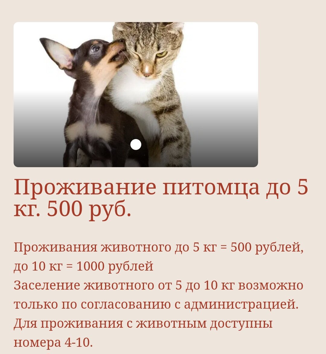 Фото Отрадный